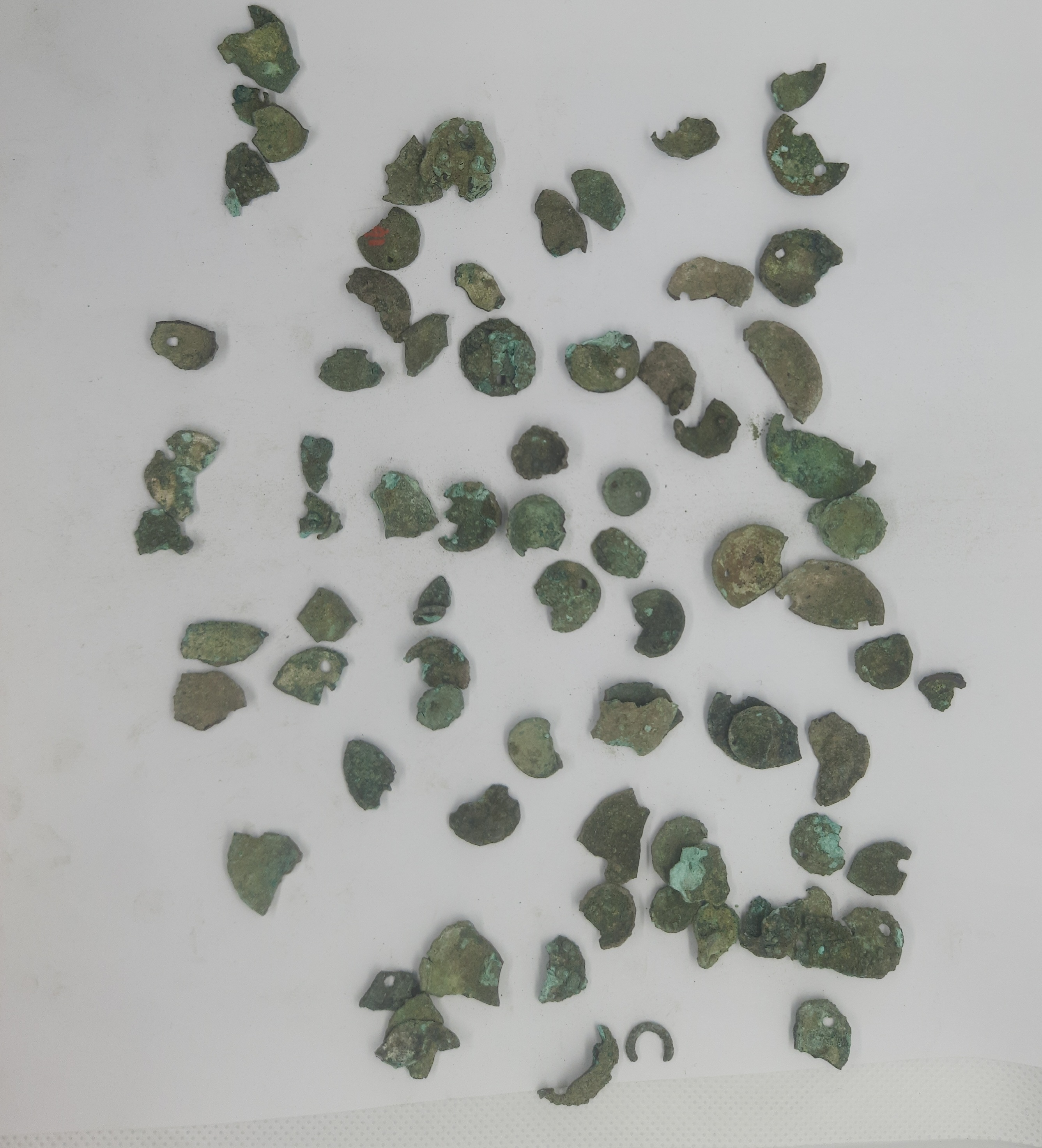 SINGOLO OGGETTO/ borchia, PERIODIZZAZIONI/ PROTOSTORIA/ Età del Ferro/ Media età del Ferro