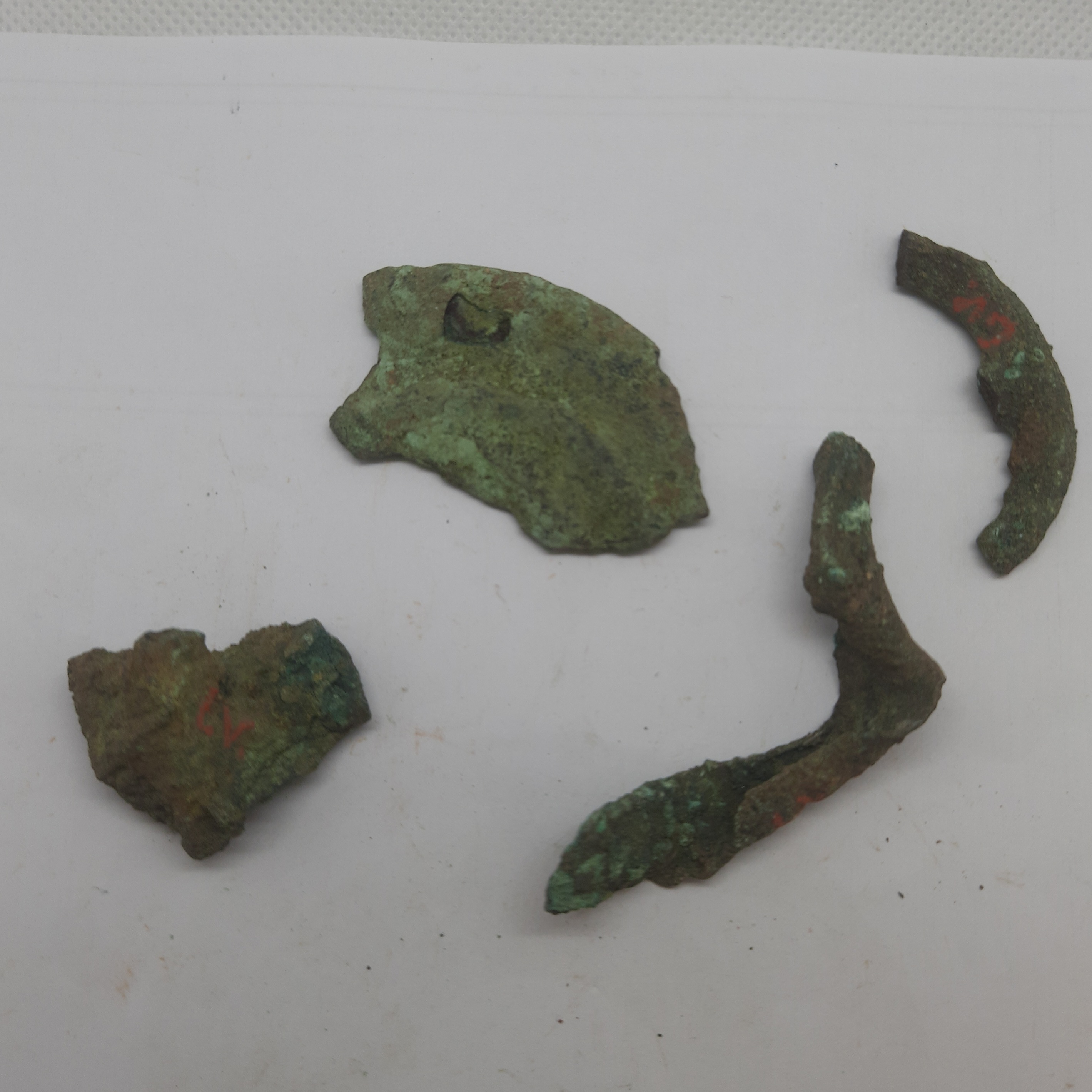 SINGOLO OGGETTO/ frammento, PERIODIZZAZIONI/ PROTOSTORIA/ Età del Ferro/ Media età del Ferro