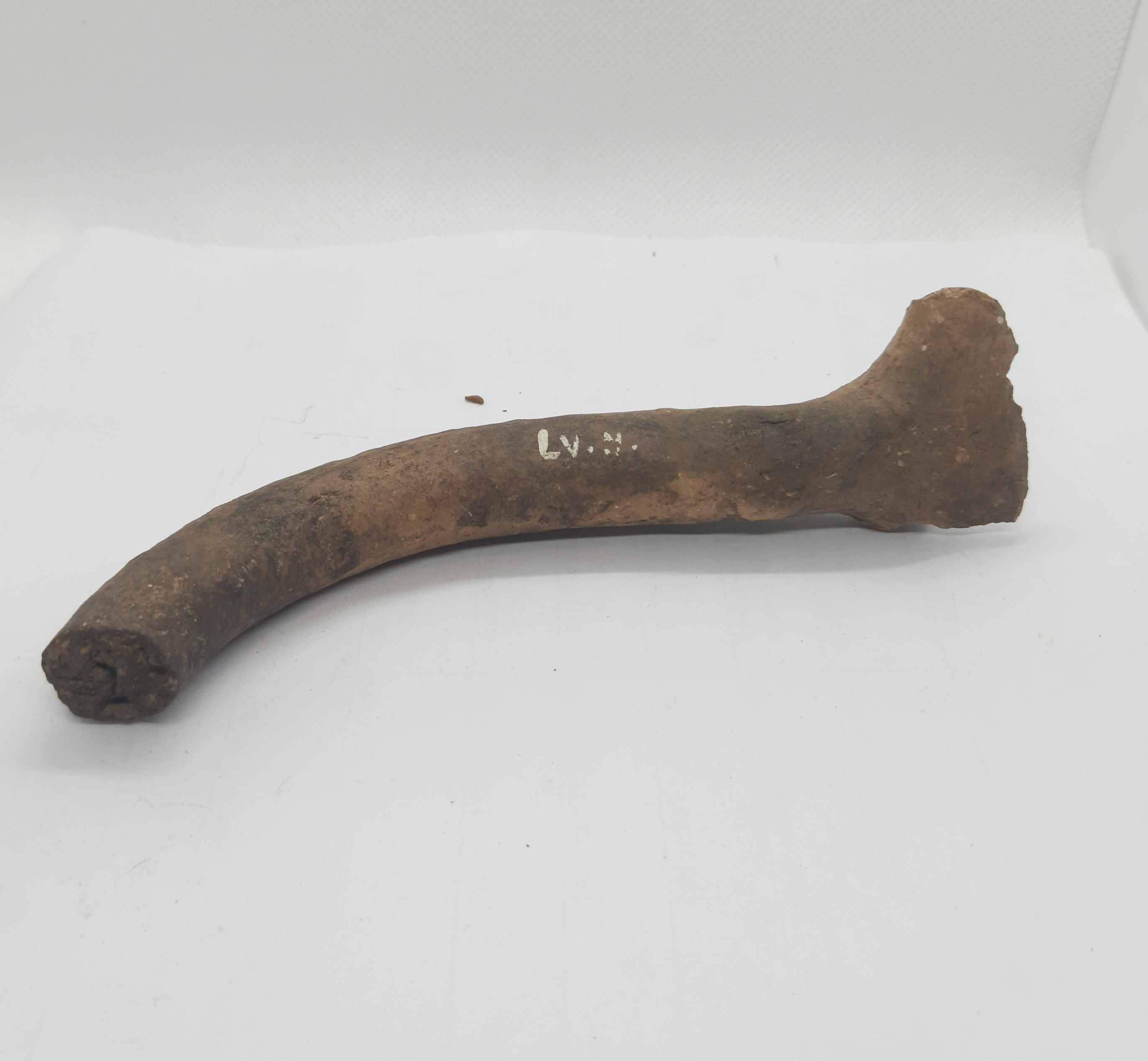 SINGOLO OGGETTO/ frammento, PERIODIZZAZIONI/ PROTOSTORIA/ Età del Ferro