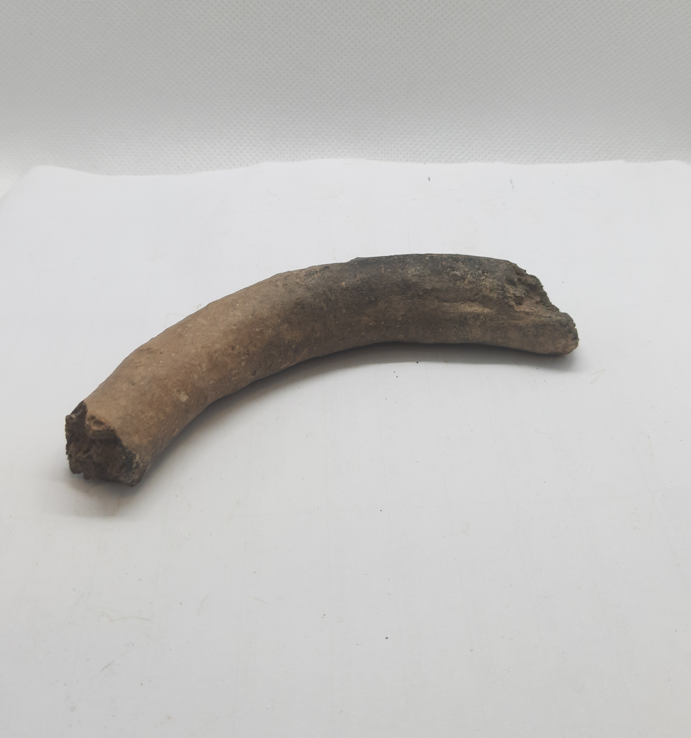 SINGOLO OGGETTO/ frammento, PERIODIZZAZIONI/ PROTOSTORIA/ Età del Ferro