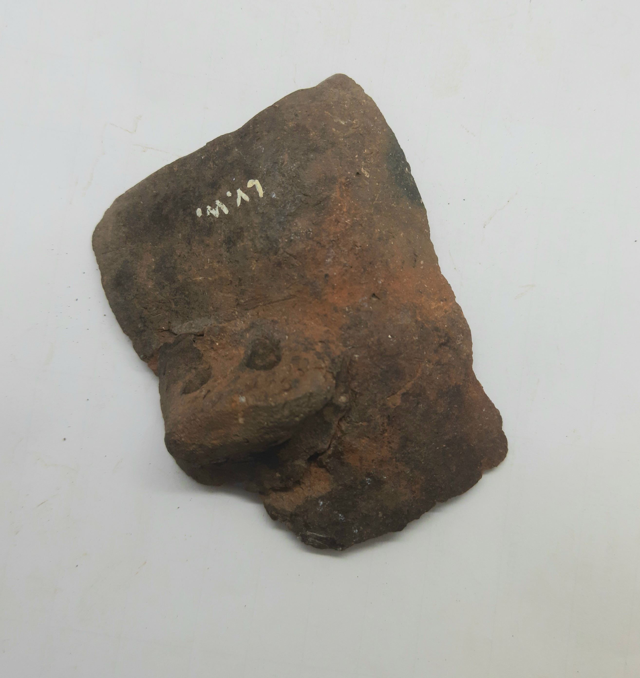 SINGOLO OGGETTO/ frammento, PERIODIZZAZIONI/ PROTOSTORIA/ Età del Ferro