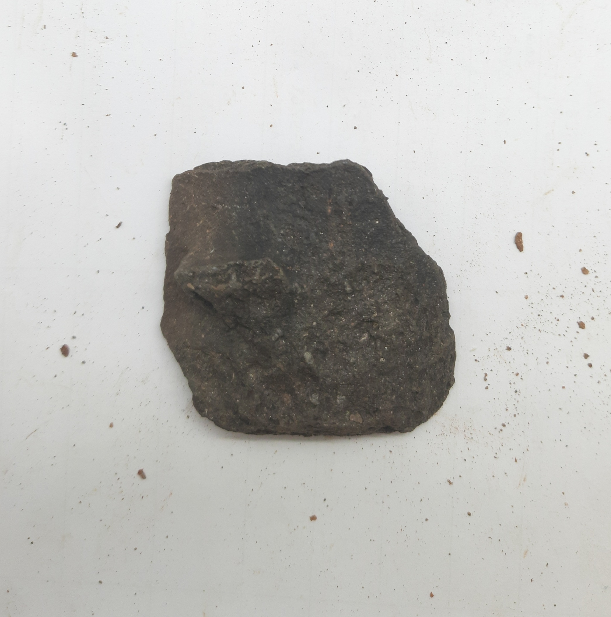 SINGOLO OGGETTO/ frammento, PERIODIZZAZIONI/ PROTOSTORIA/ Età del Ferro