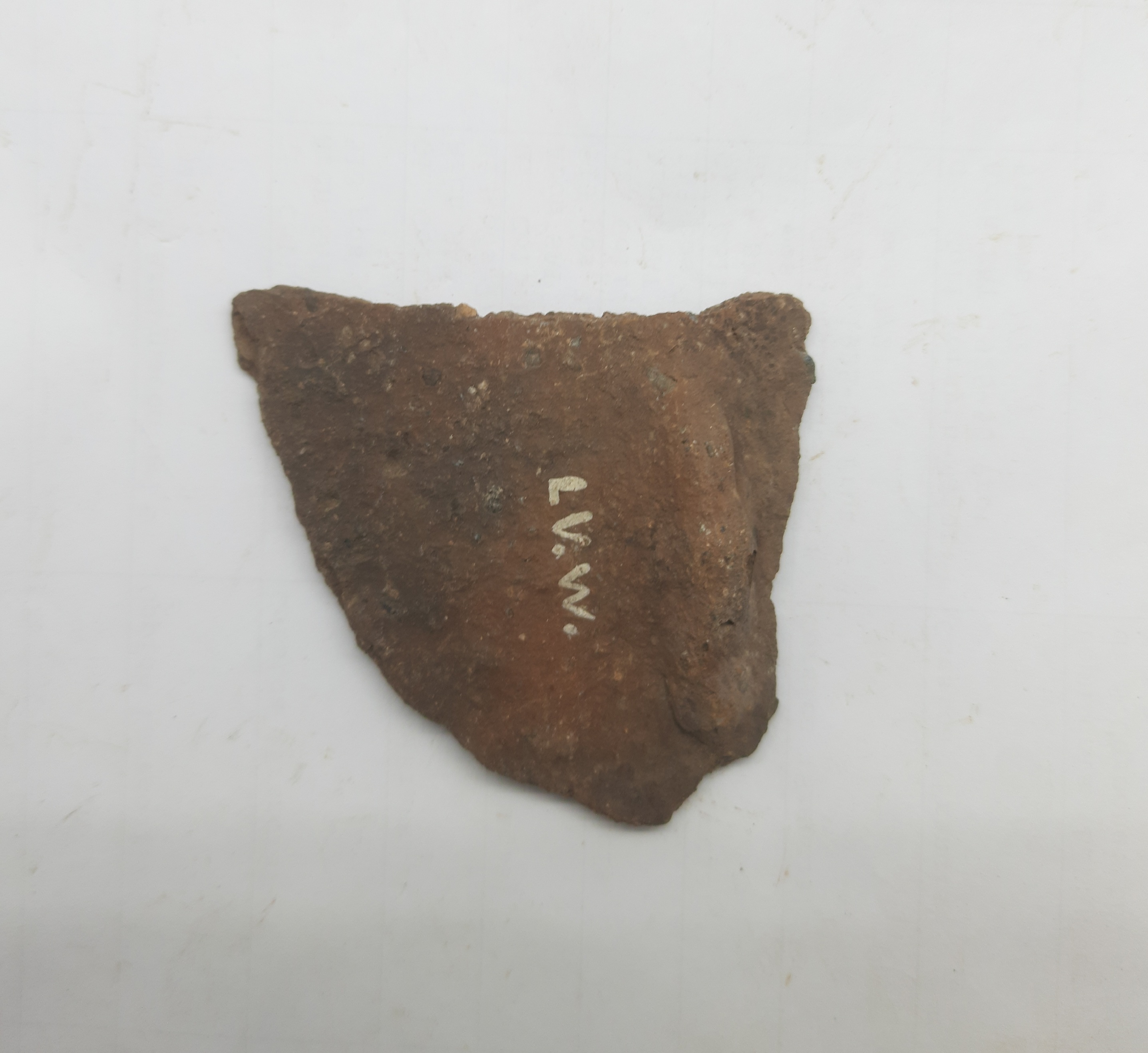 SINGOLO OGGETTO/ frammento, PERIODIZZAZIONI/ PROTOSTORIA/ Età del Ferro