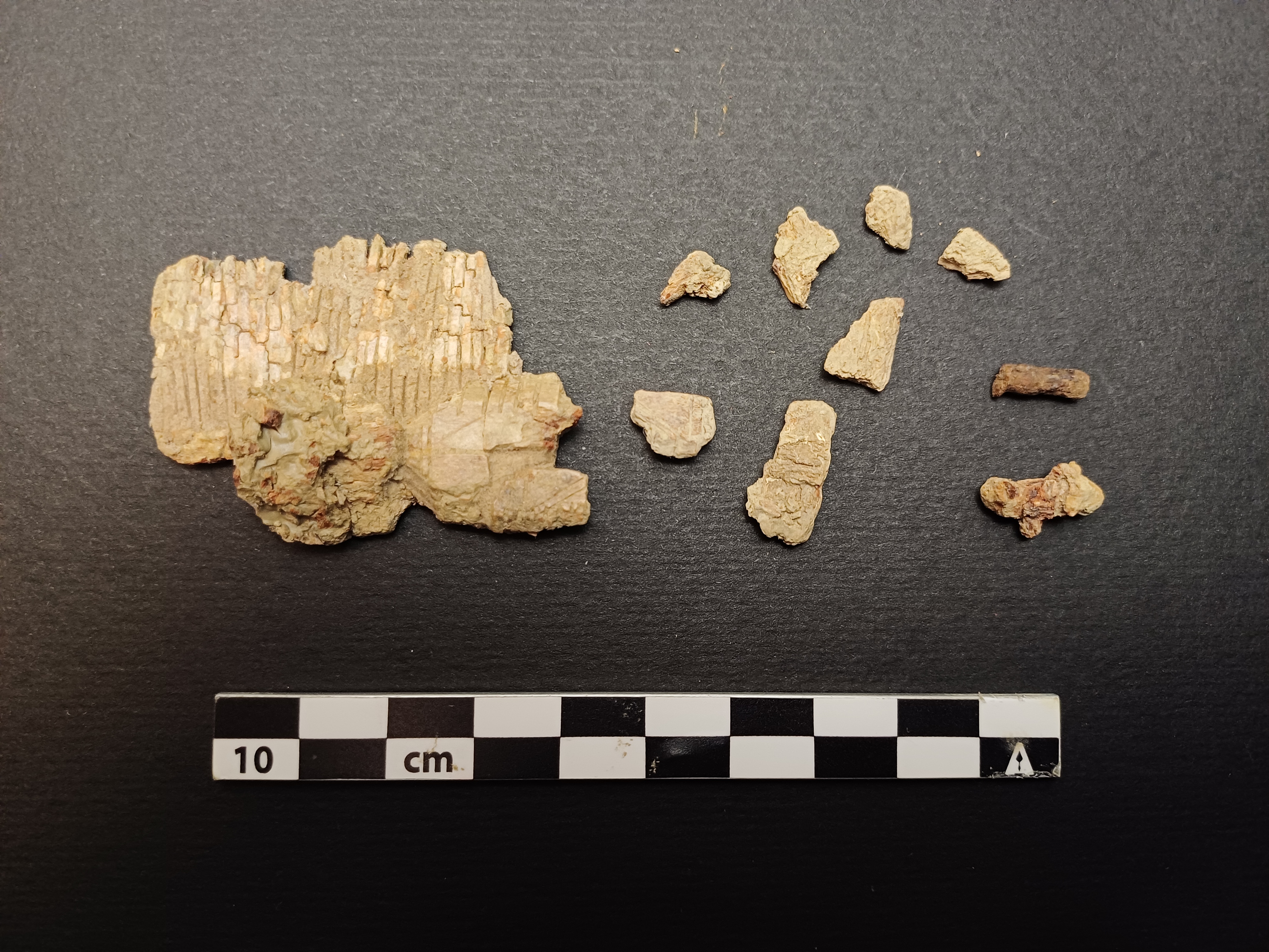 SINGOLO OGGETTO/ pettine, PERIODIZZAZIONI/ STORIA/ Età medievale/ Alto Medioevo