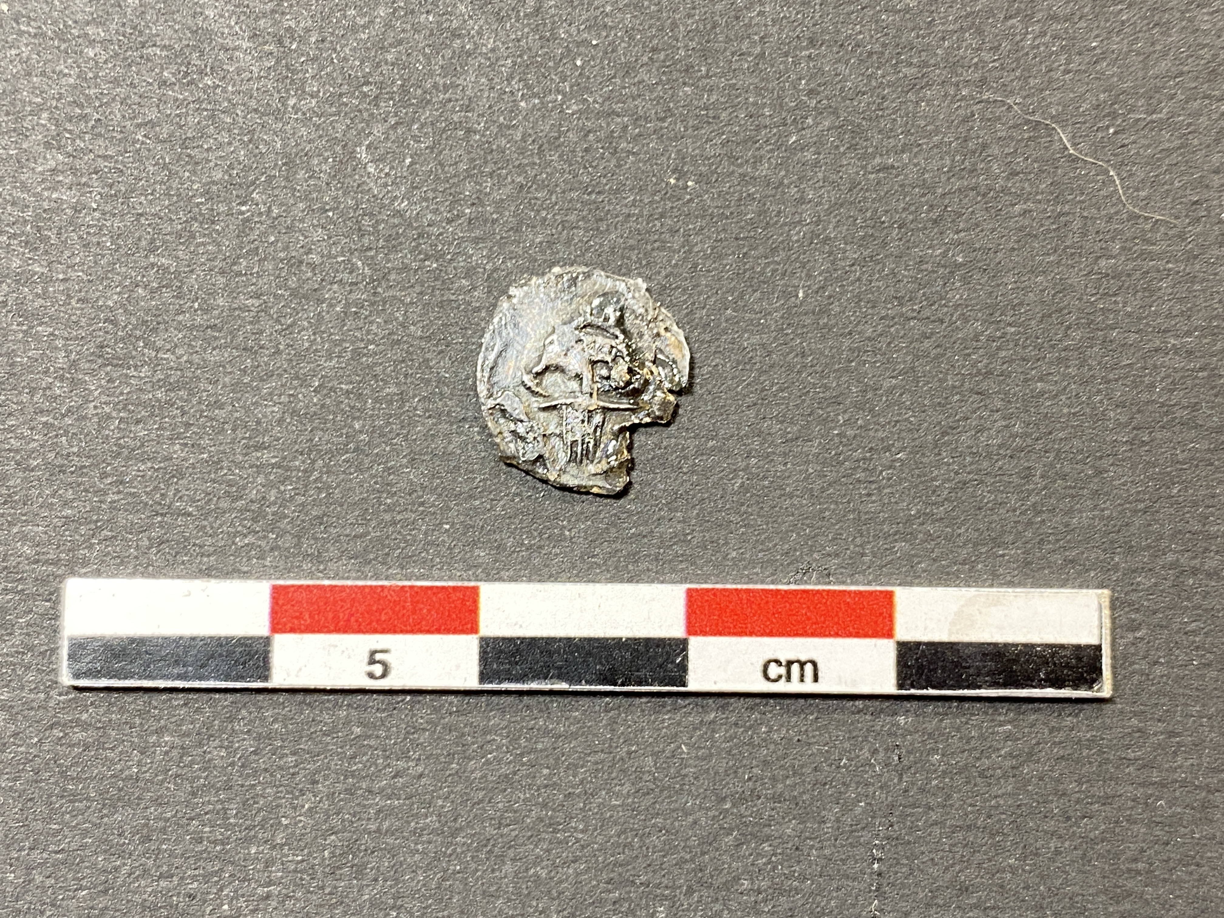 SINGOLO OGGETTO/ moneta, PERIODIZZAZIONI/ STORIA/ Età medievale/ Alto Medioevo