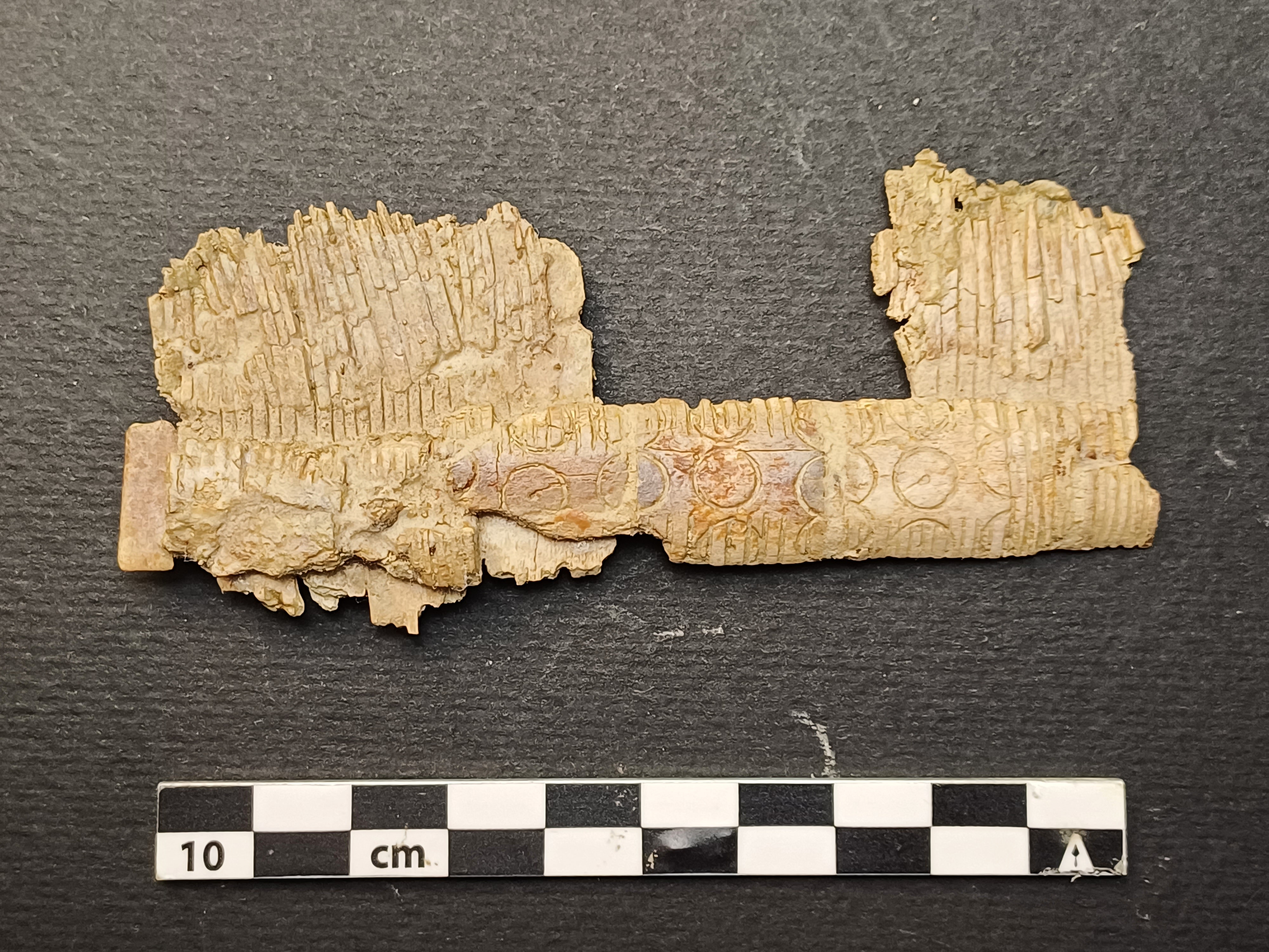 SINGOLO OGGETTO/ pettine, PERIODIZZAZIONI/ STORIA/ Età medievale/ Alto Medioevo