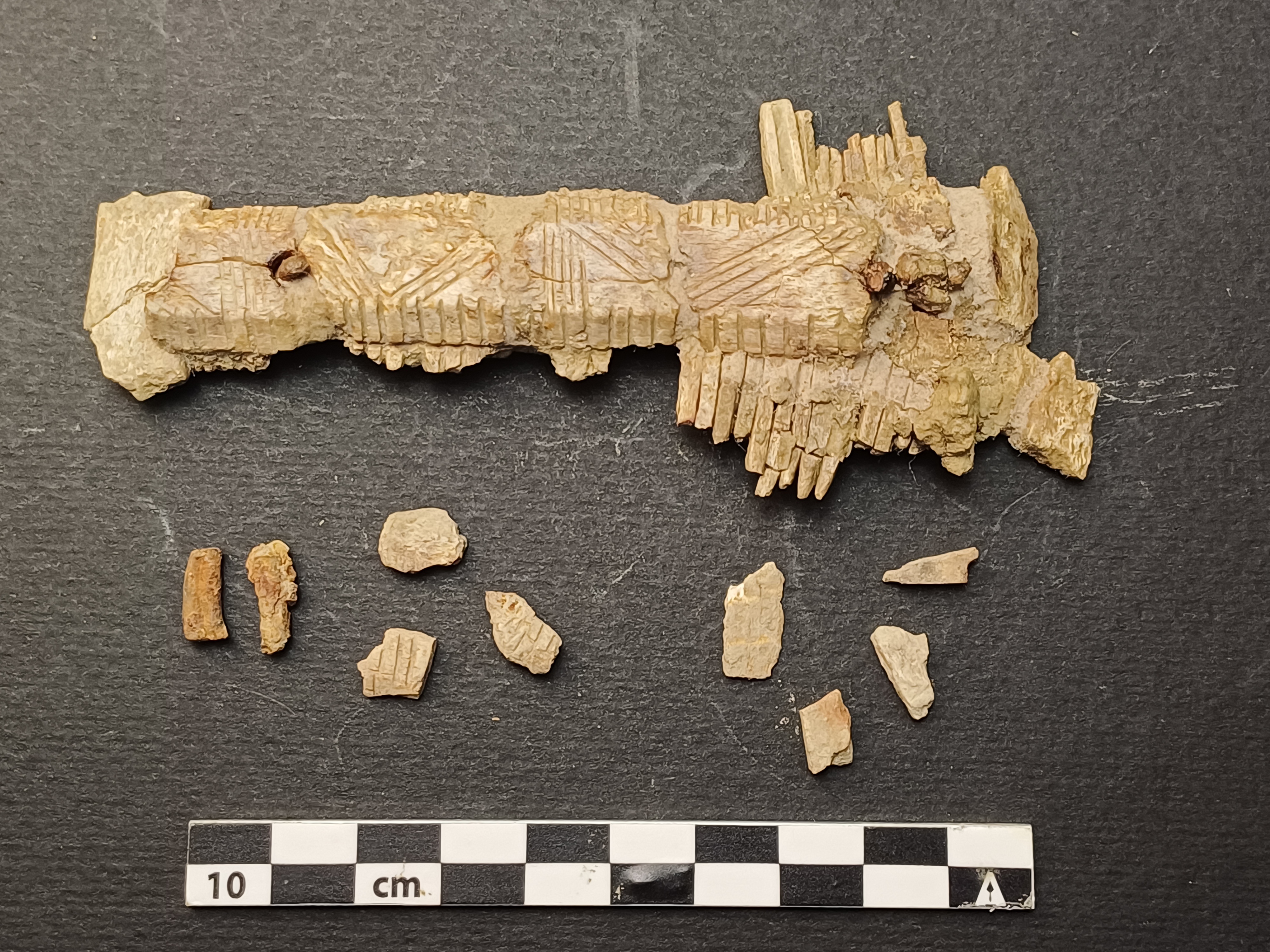 SINGOLO OGGETTO/ pettine, PERIODIZZAZIONI/ STORIA/ Età medievale/ Alto Medioevo