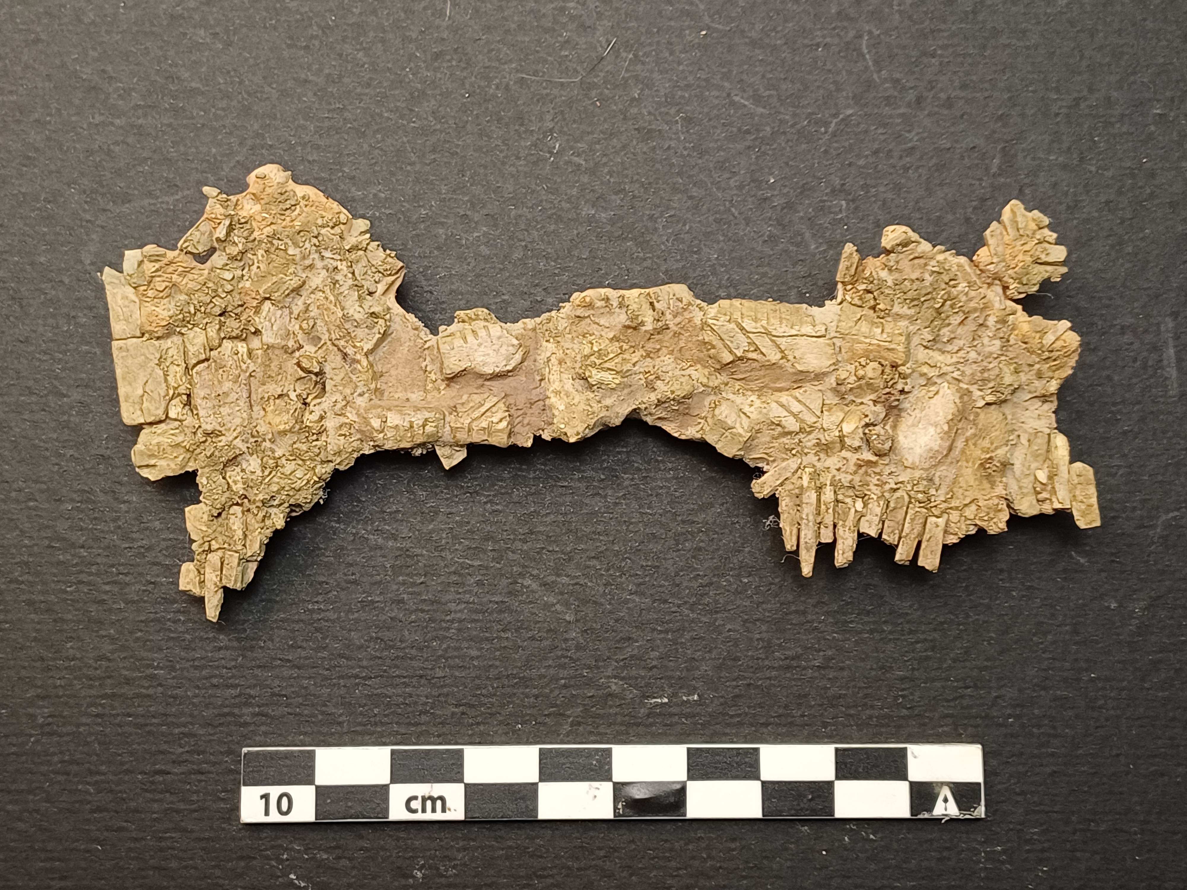 SINGOLO OGGETTO/ pettine, PERIODIZZAZIONI/ STORIA/ Età medievale/ Alto Medioevo