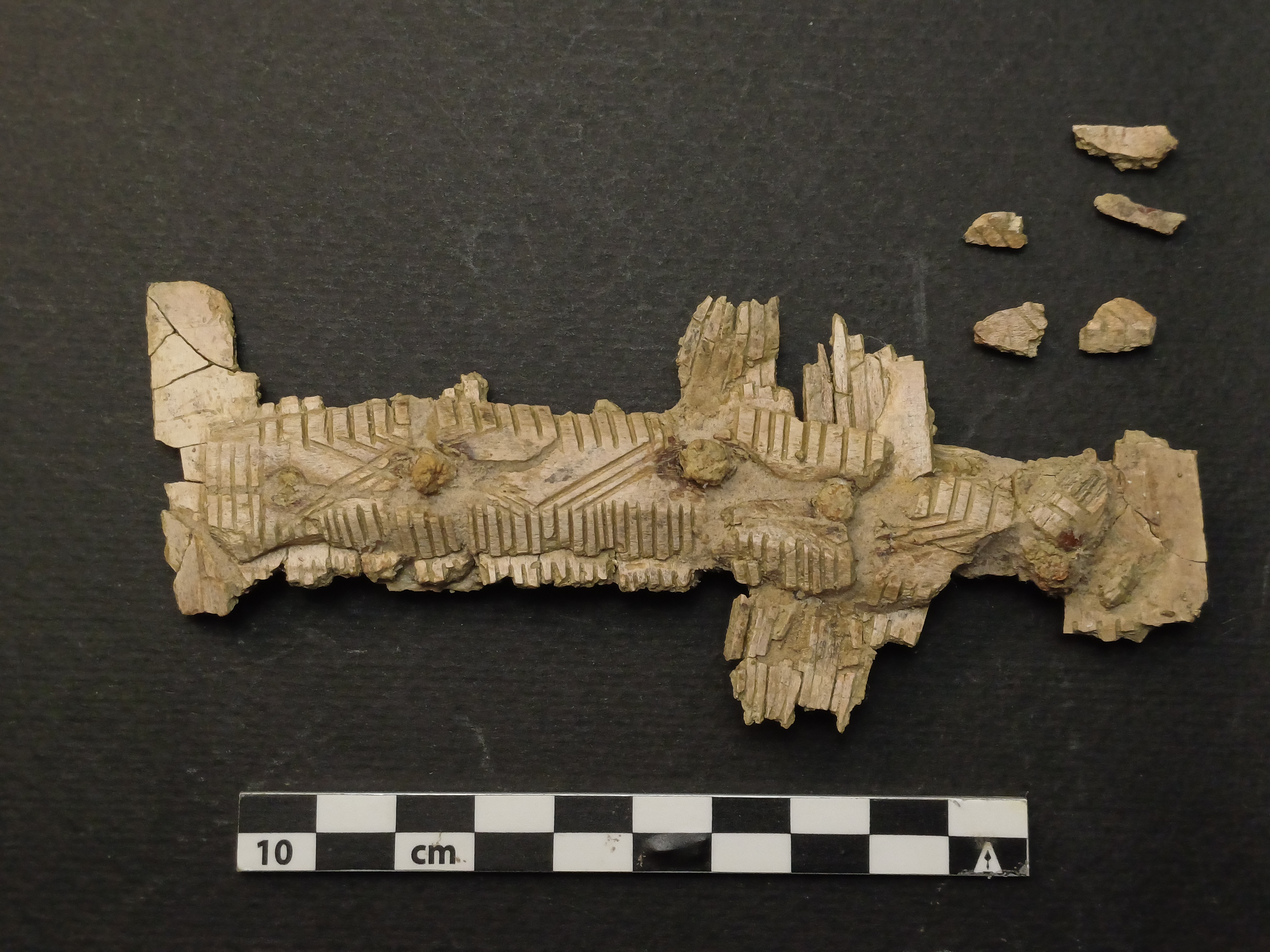 SINGOLO OGGETTO/ pettine, PERIODIZZAZIONI/ STORIA/ Età medievale/ Alto Medioevo