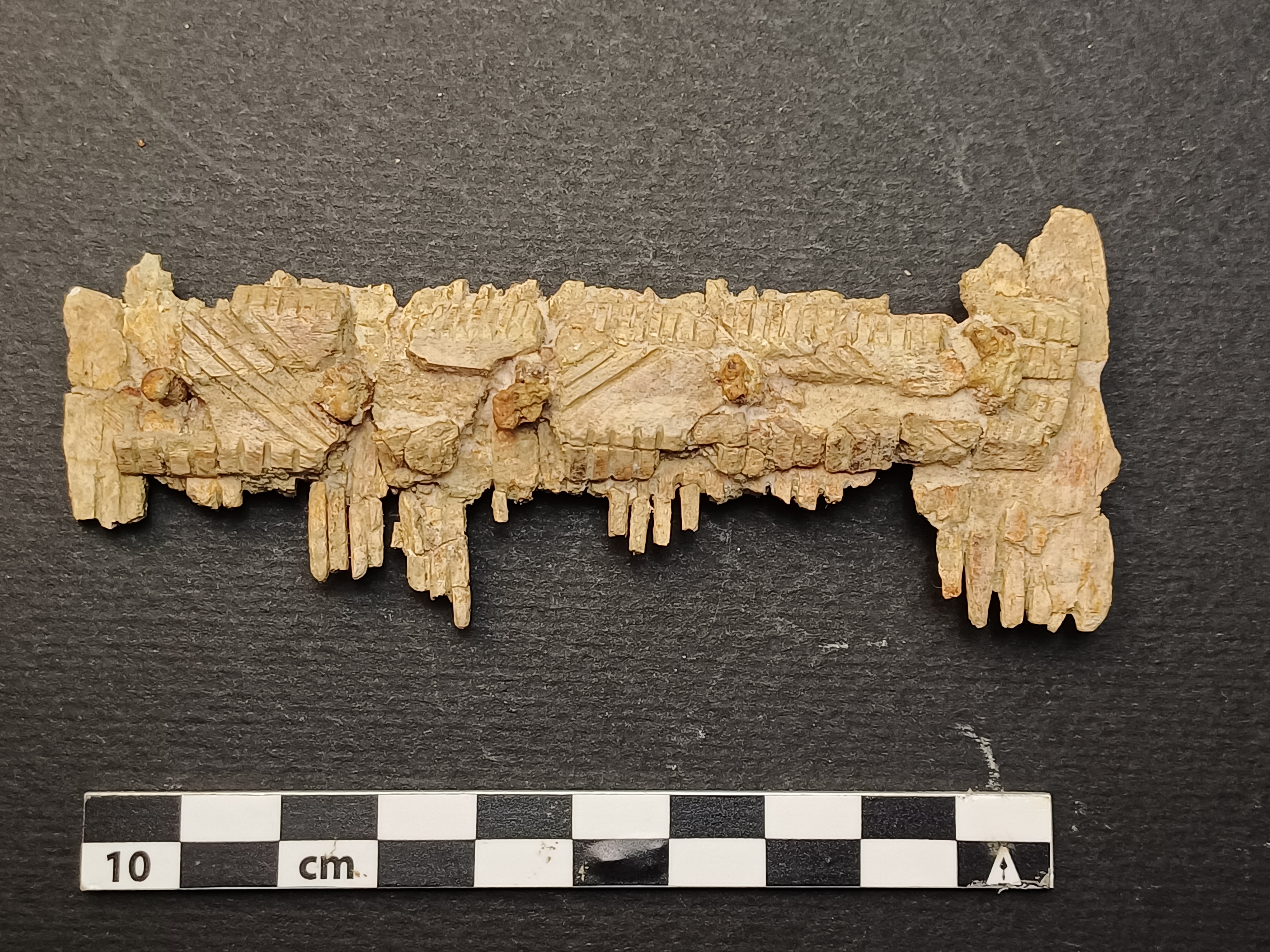 SINGOLO OGGETTO/ pettine, PERIODIZZAZIONI/ STORIA/ Età medievale/ Alto Medioevo