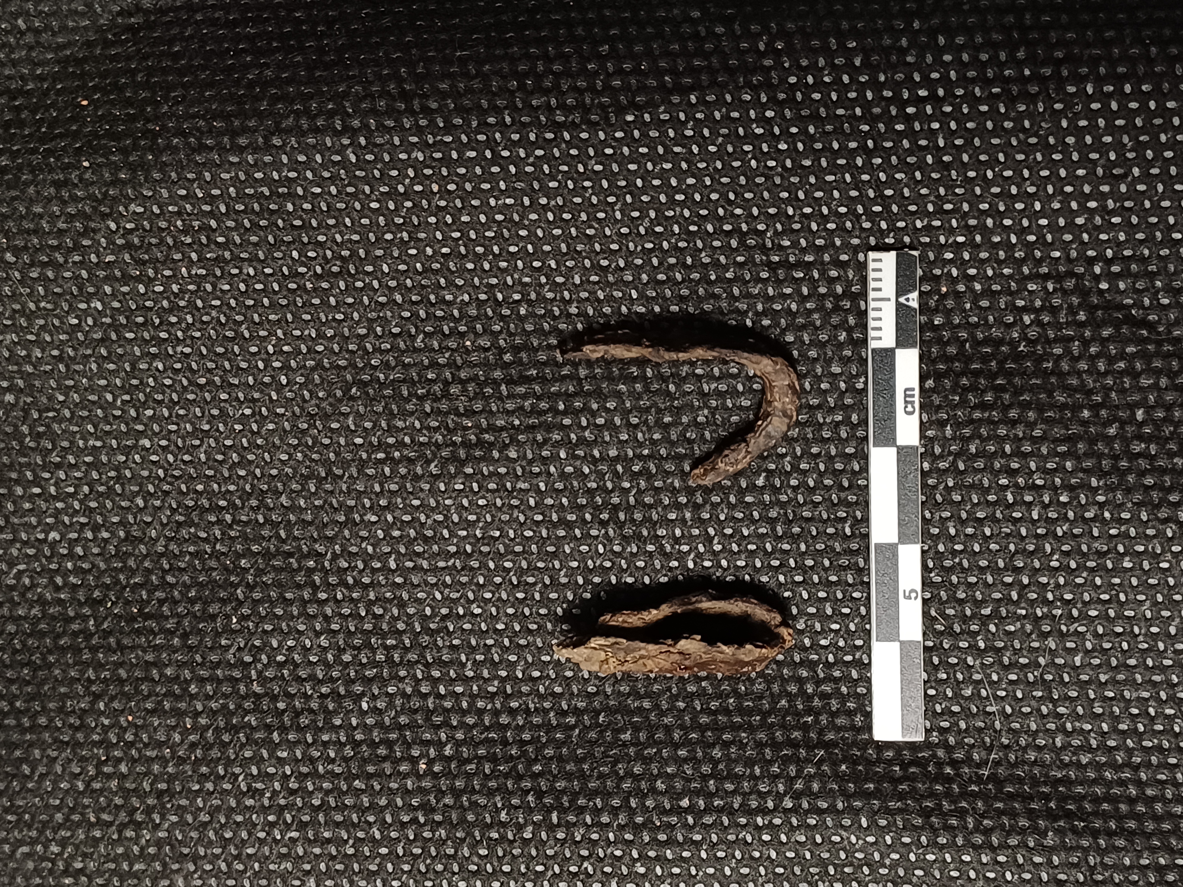 SINGOLO OGGETTO/ applique, PERIODIZZAZIONI/ STORIA/ Età medievale/ Alto Medioevo