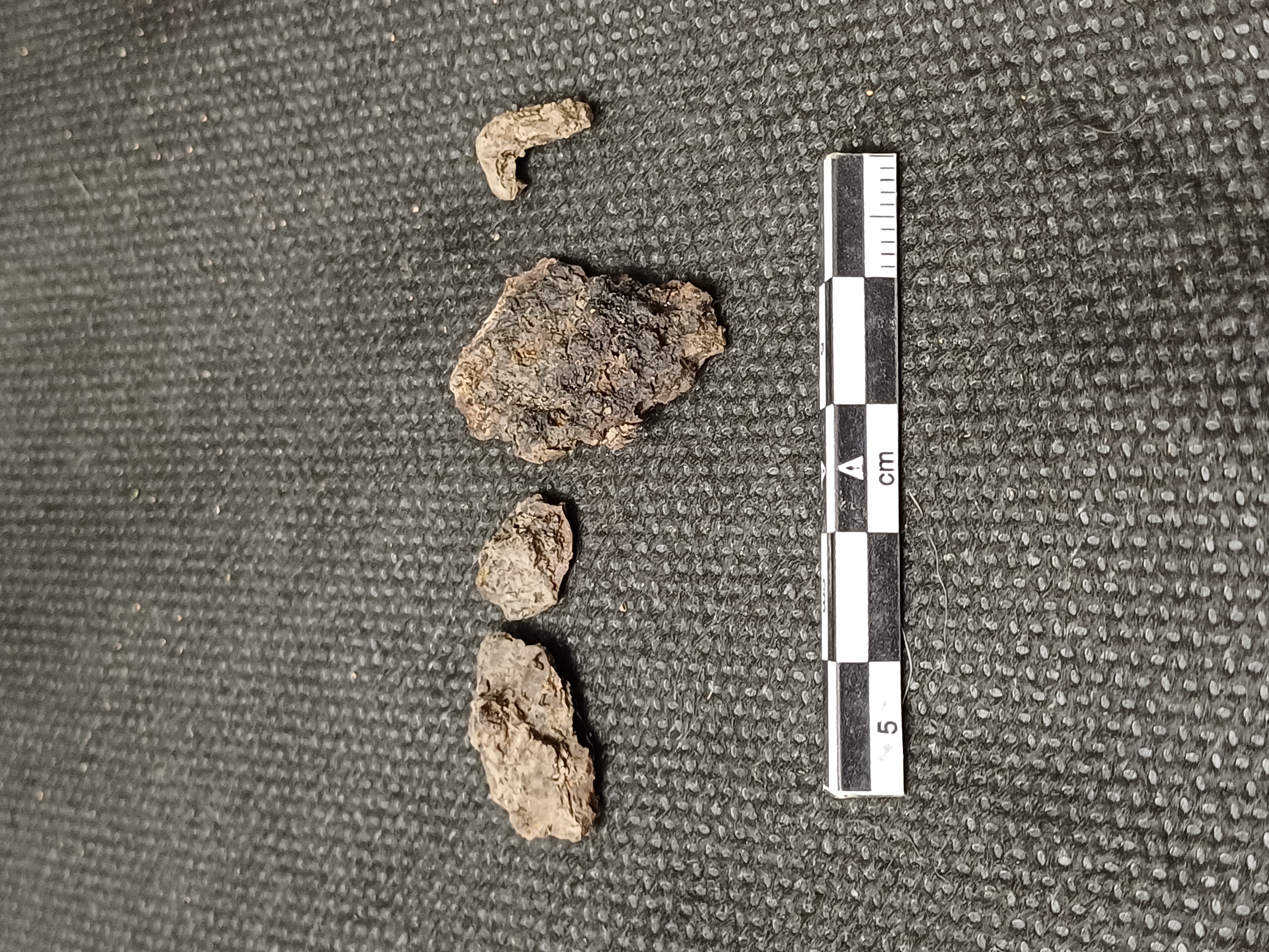 SINGOLO OGGETTO/ fibbia, PERIODIZZAZIONI/ STORIA/ Età medievale/ Alto Medioevo