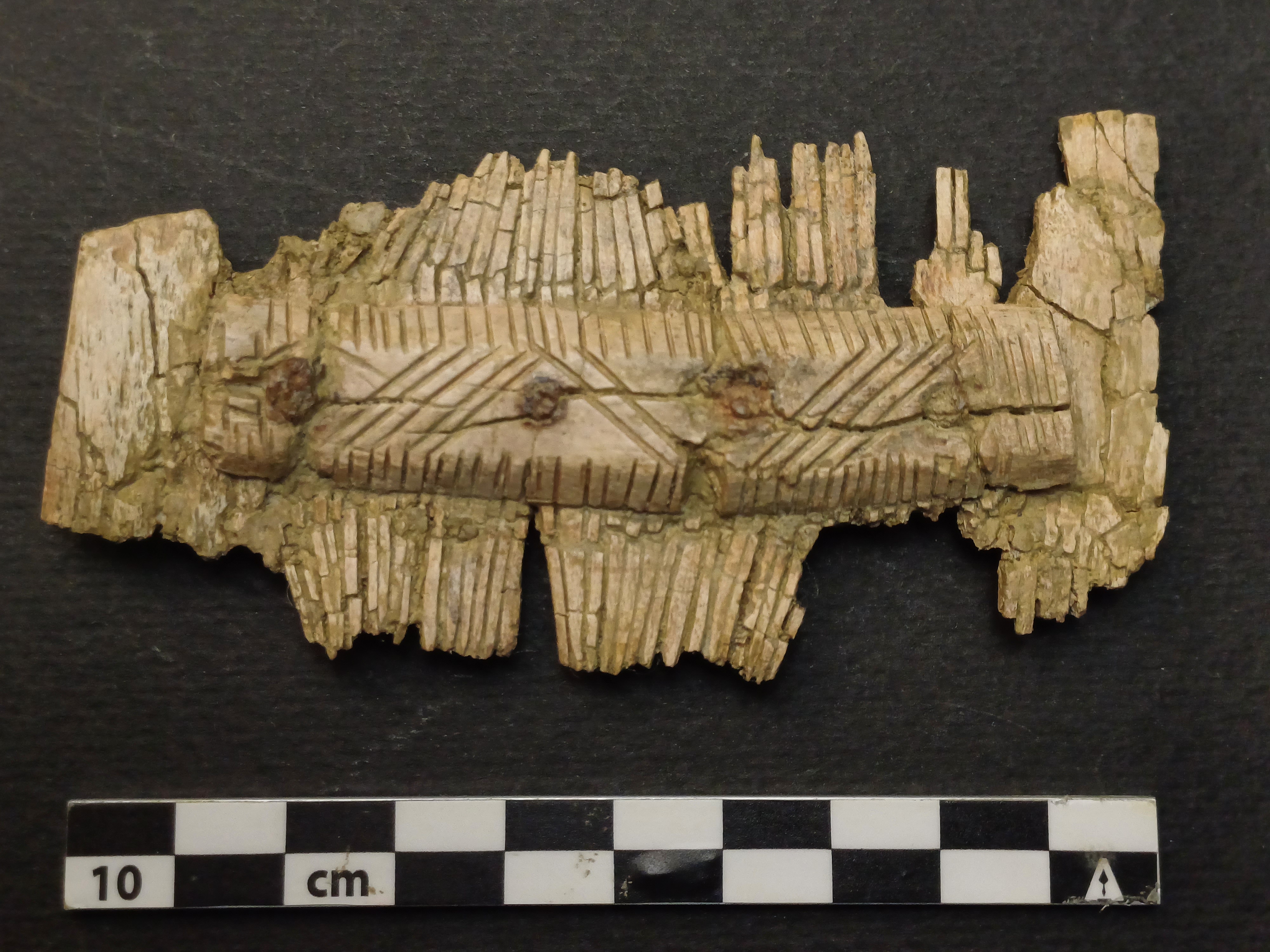 SINGOLO OGGETTO/ pettine, PERIODIZZAZIONI/ STORIA/ Età medievale/ Alto Medioevo