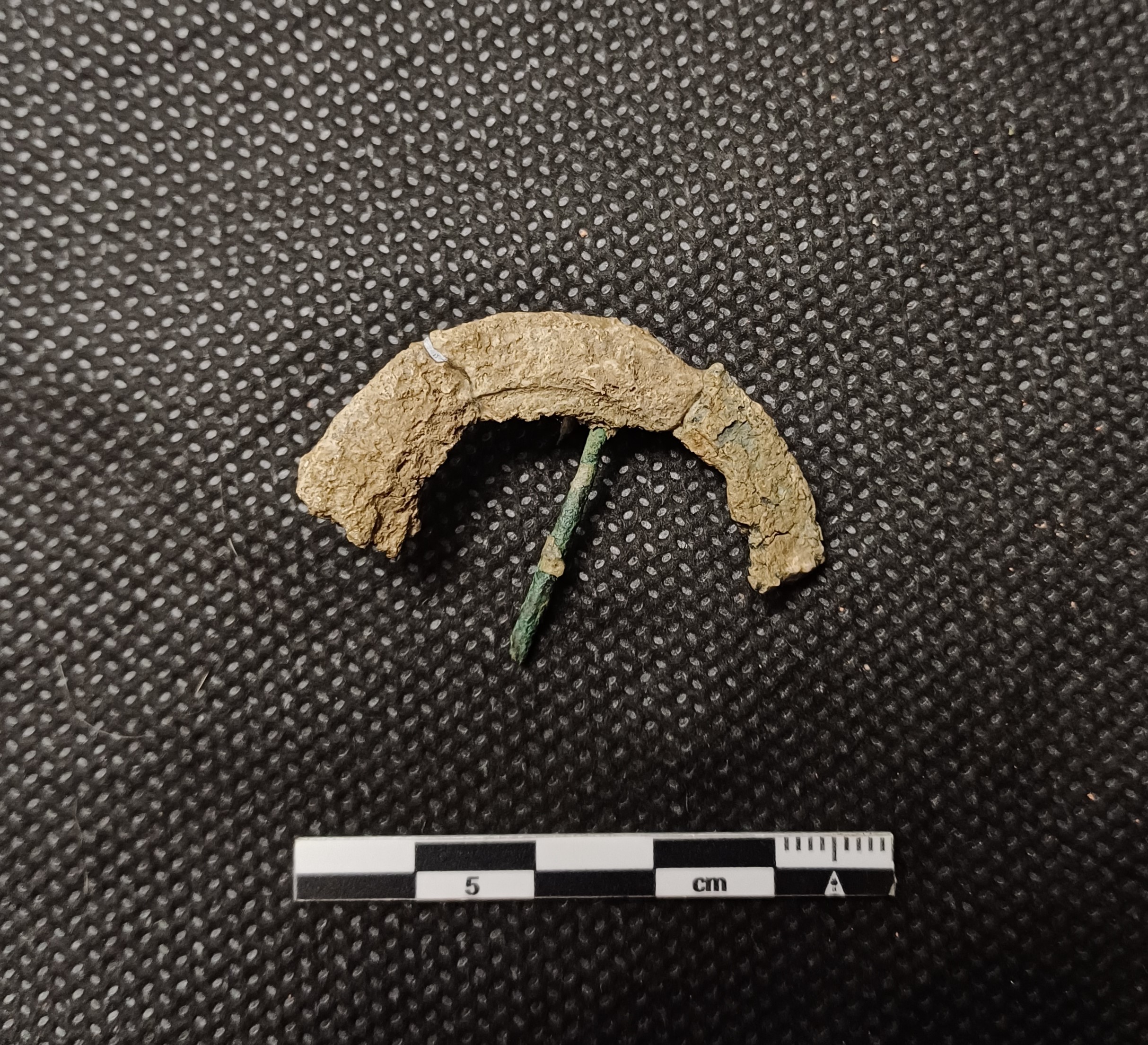 SINGOLO OGGETTO/ fibbia, PERIODIZZAZIONI/ STORIA/ Età medievale/ Alto Medioevo