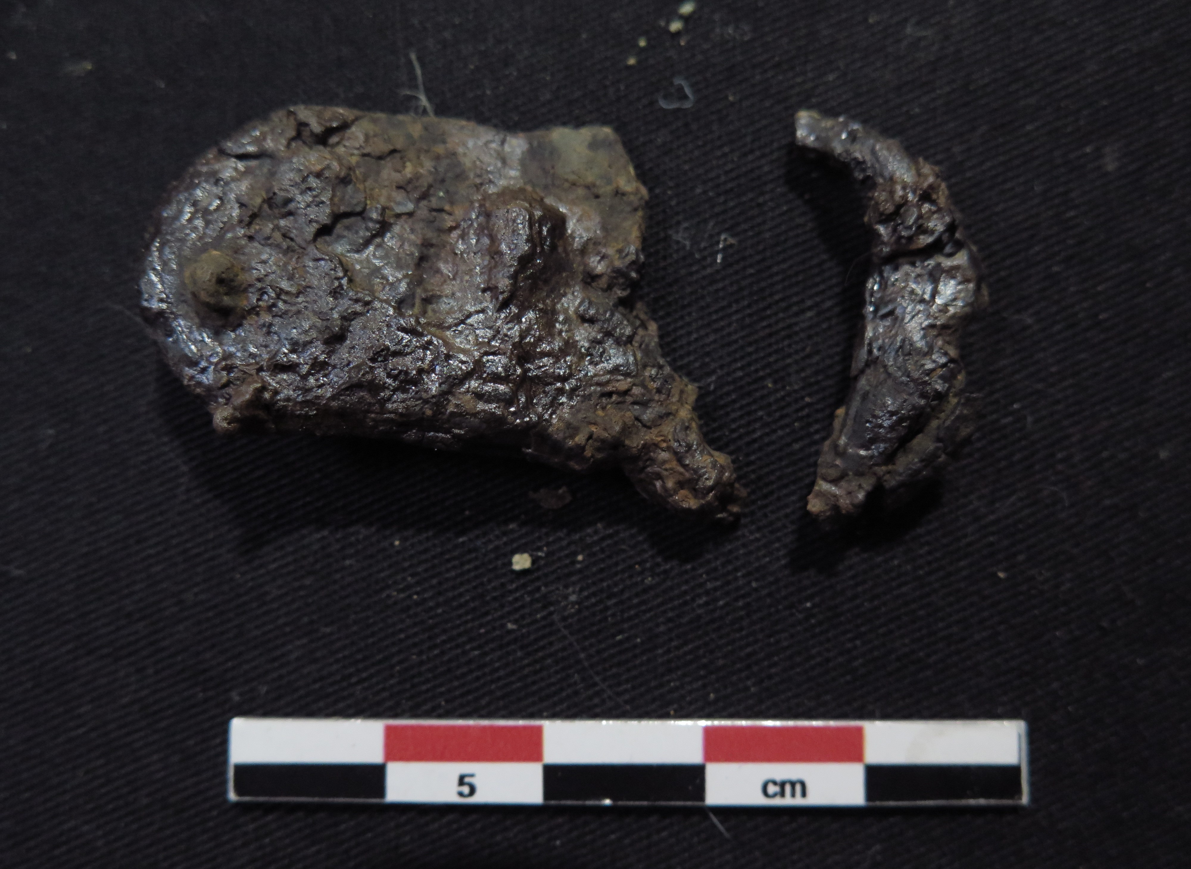 SINGOLO OGGETTO/ fibbia, PERIODIZZAZIONI/ STORIA/ Età medievale/ Alto Medioevo