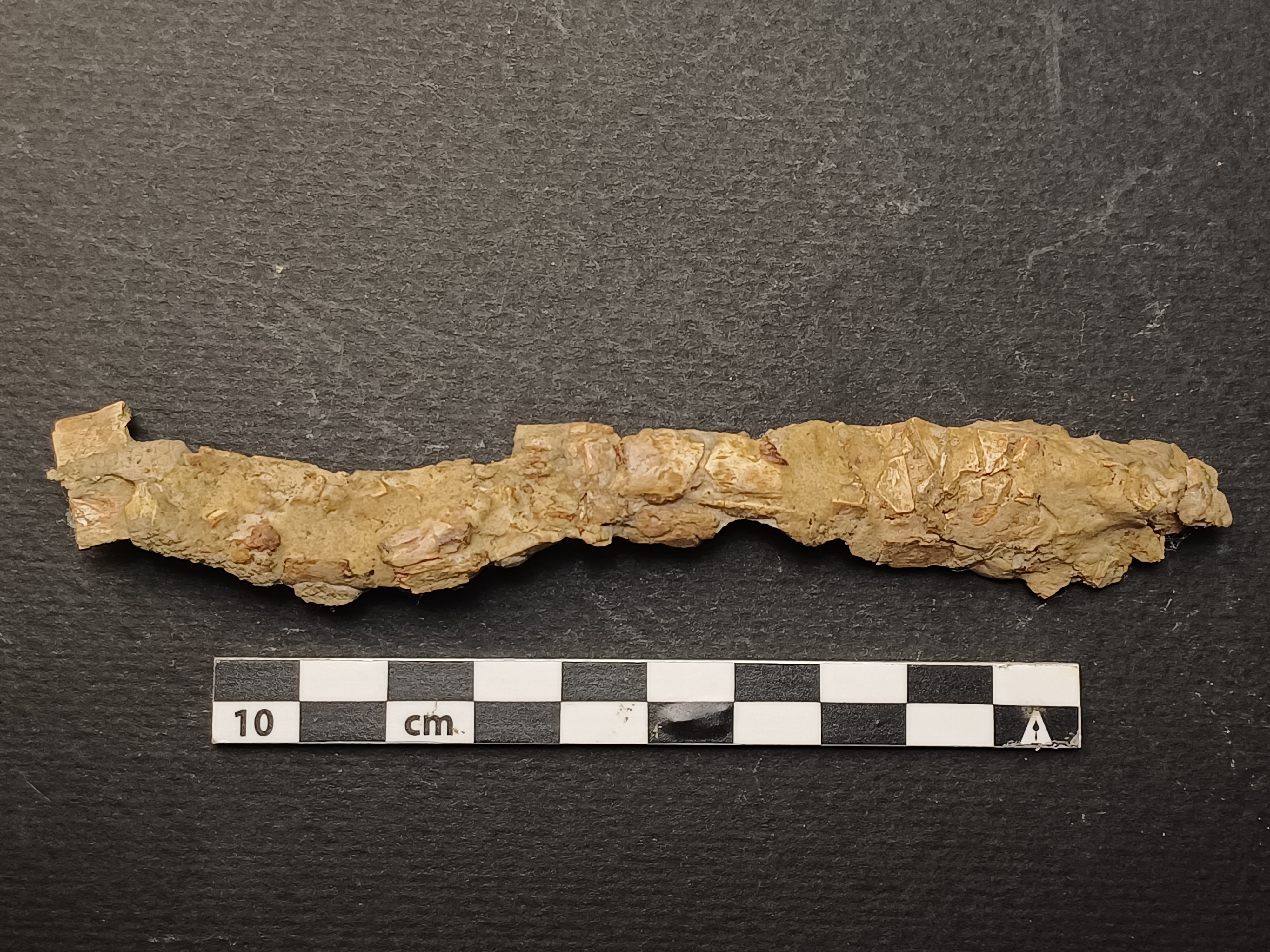 SINGOLO OGGETTO/ pettine, PERIODIZZAZIONI/ STORIA/ Età medievale/ Alto Medioevo