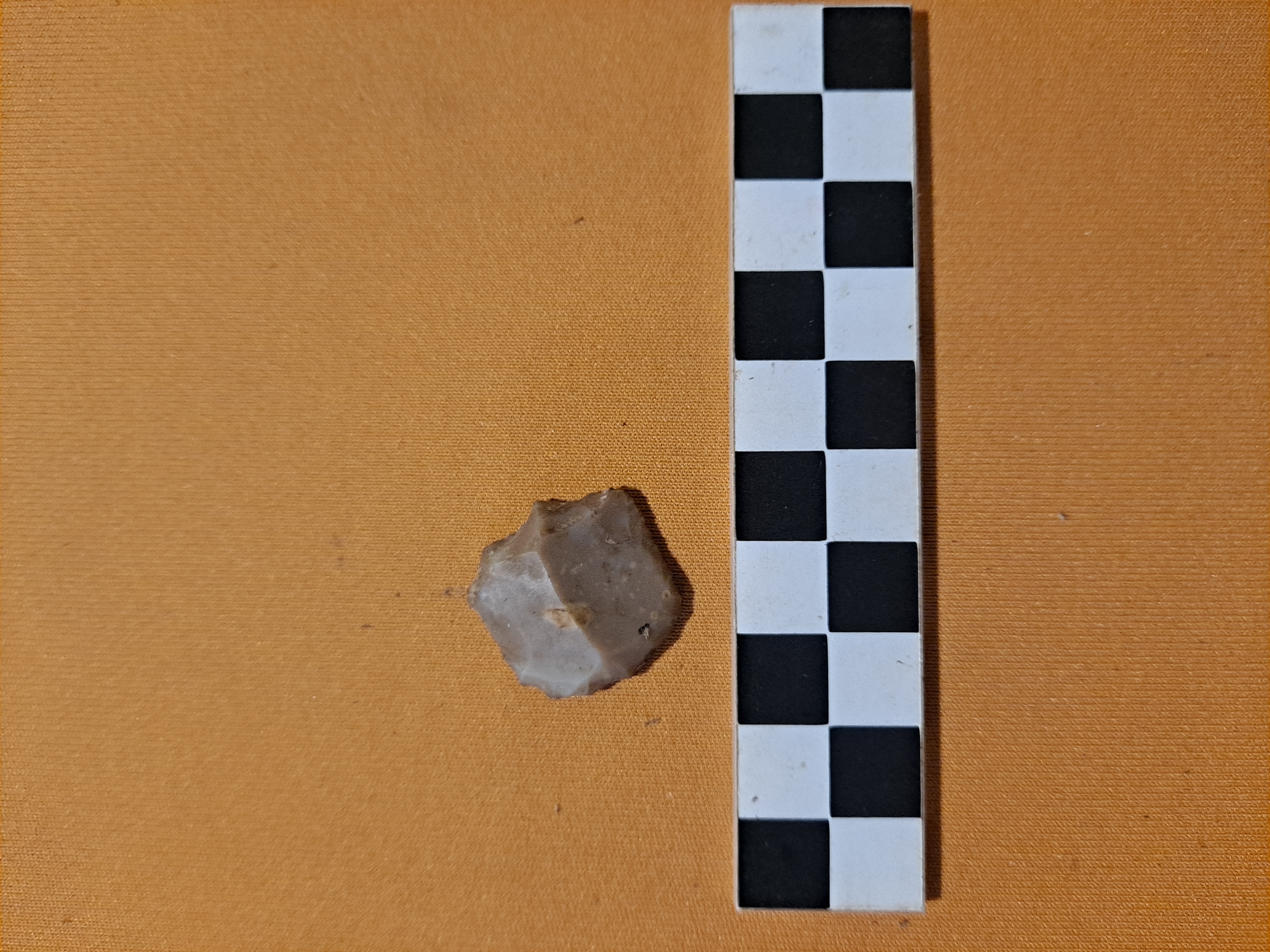 grattatoio/ frontale corto (PERIODIZZAZIONI/ PREISTORIA/ Paleolitico/ Paleolitico superiore)