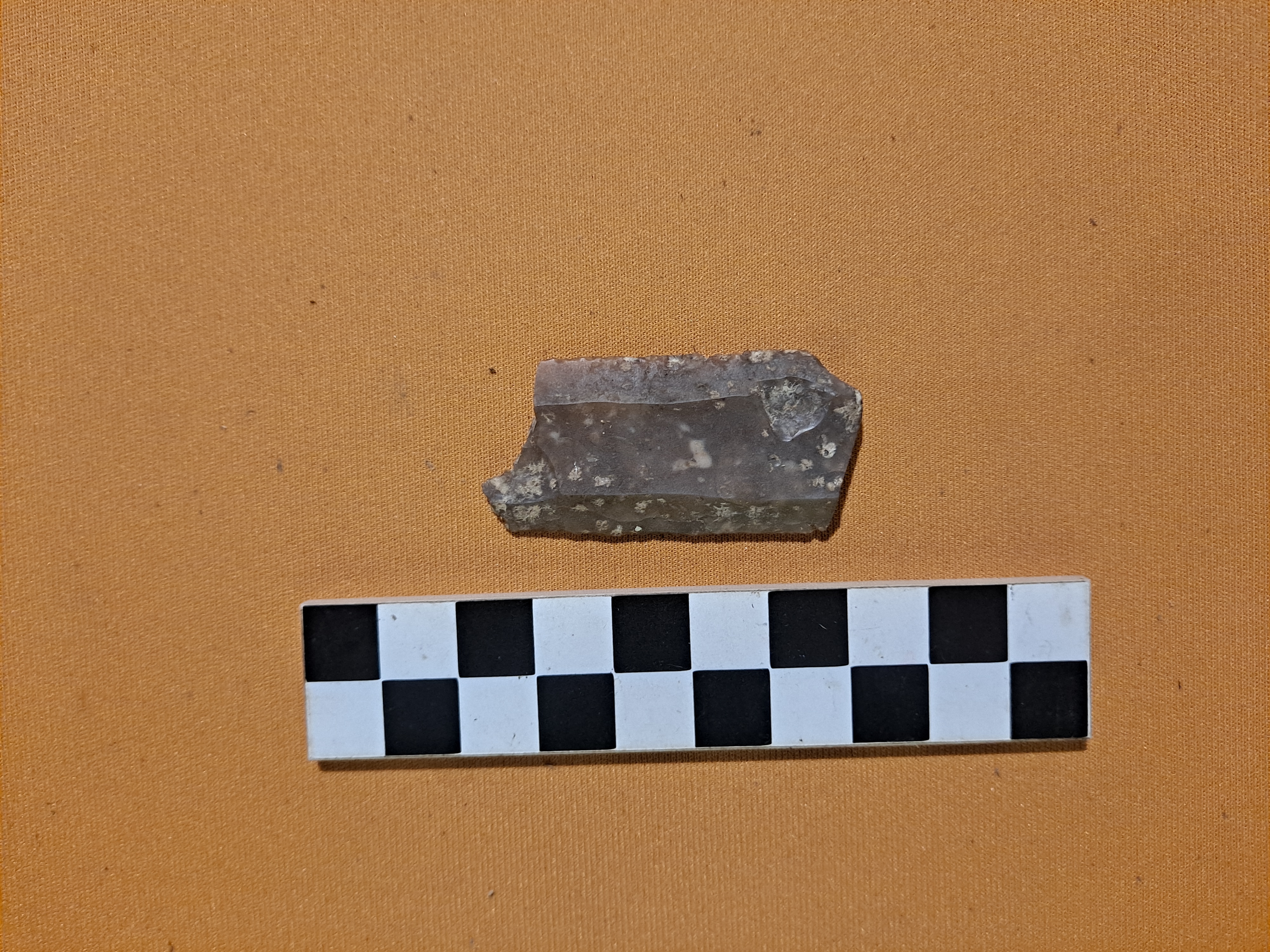 lama (PERIODIZZAZIONI/ PREISTORIA/ Neolitico)