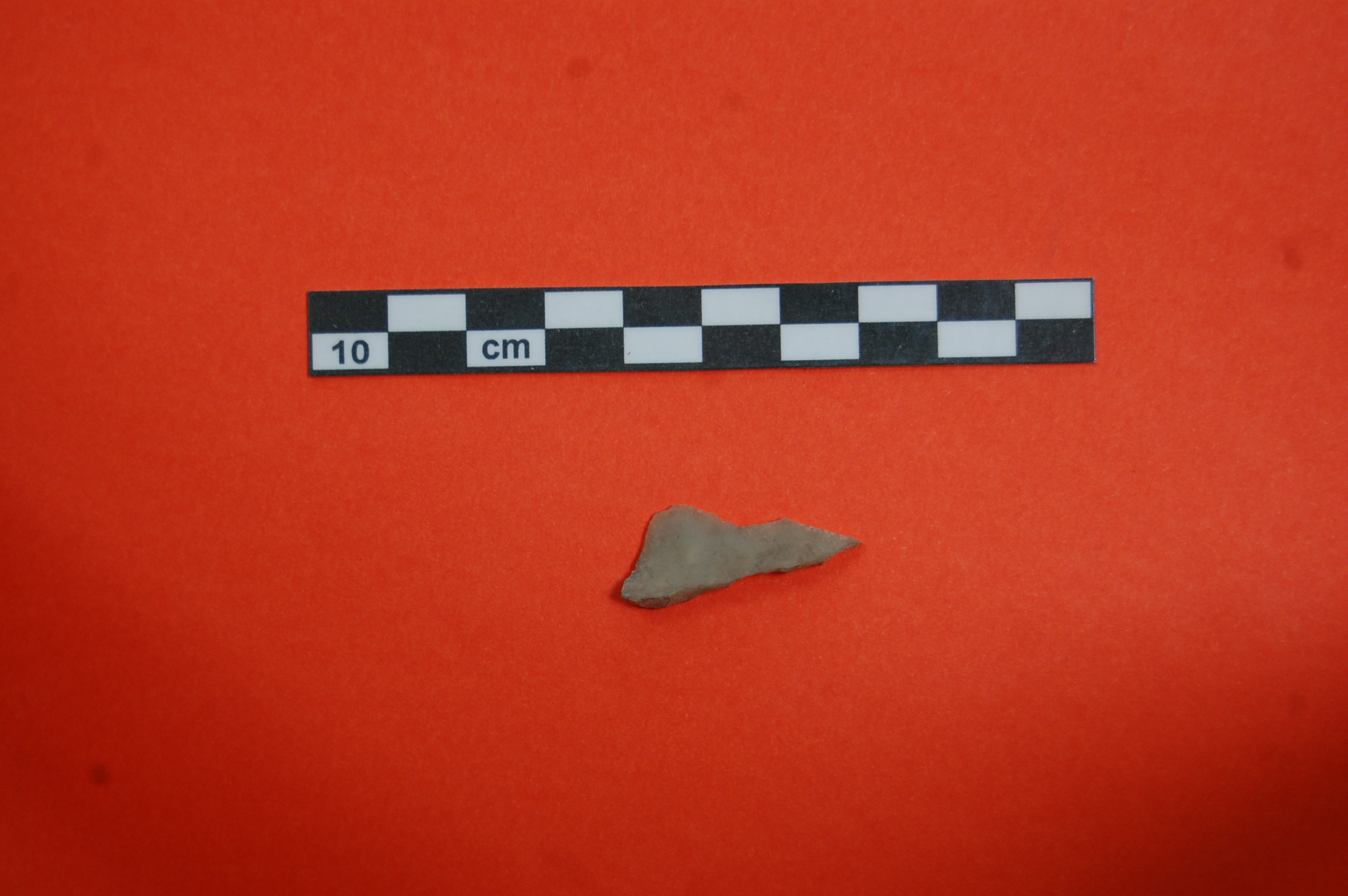 lama (PERIODIZZAZIONI/ PREISTORIA/ Paleolitico/ Paleolitico superiore)