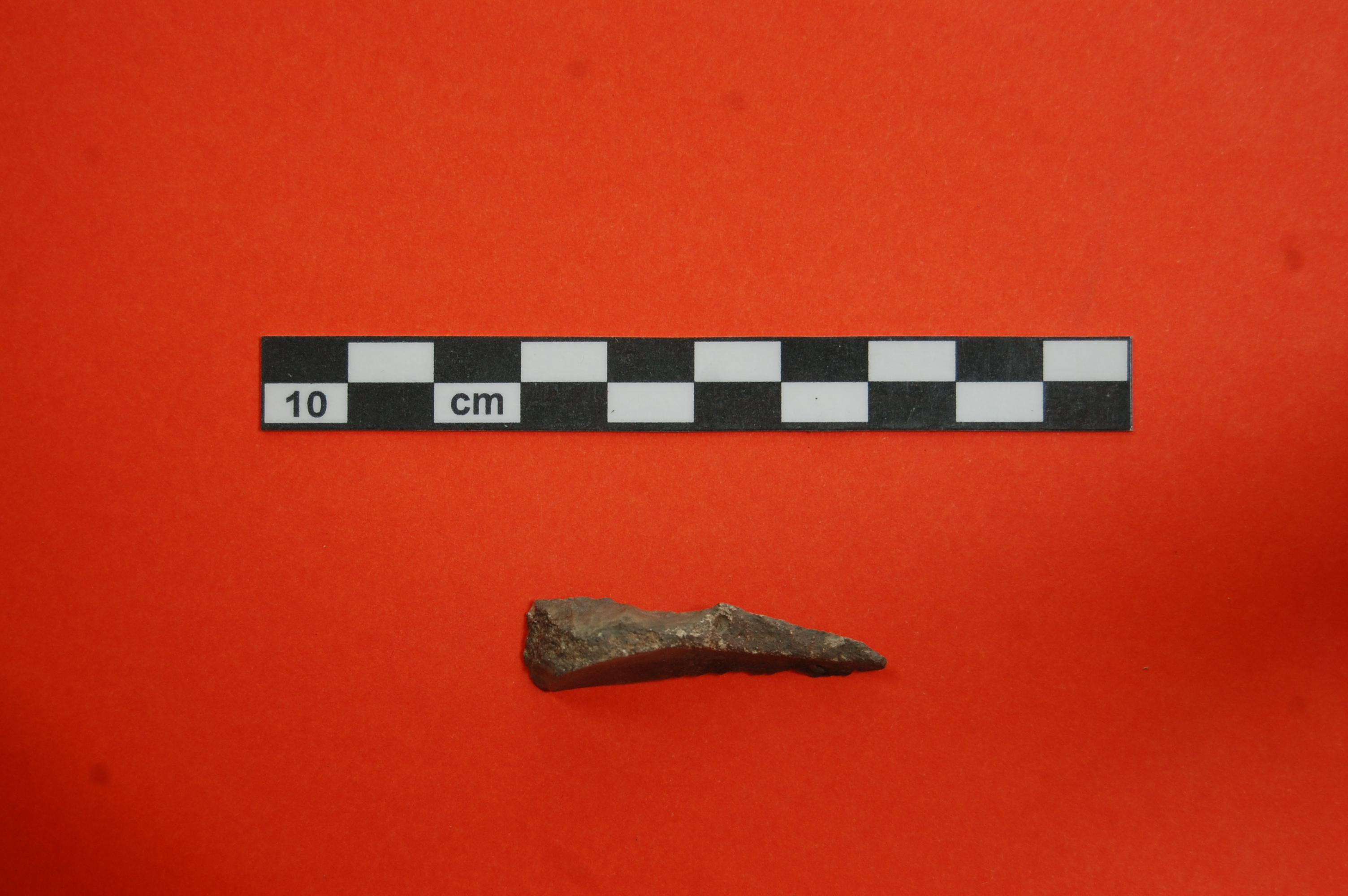 lama (fine PERIODIZZAZIONI/ PREISTORIA/ Paleolitico/ Paleolitico superiore)