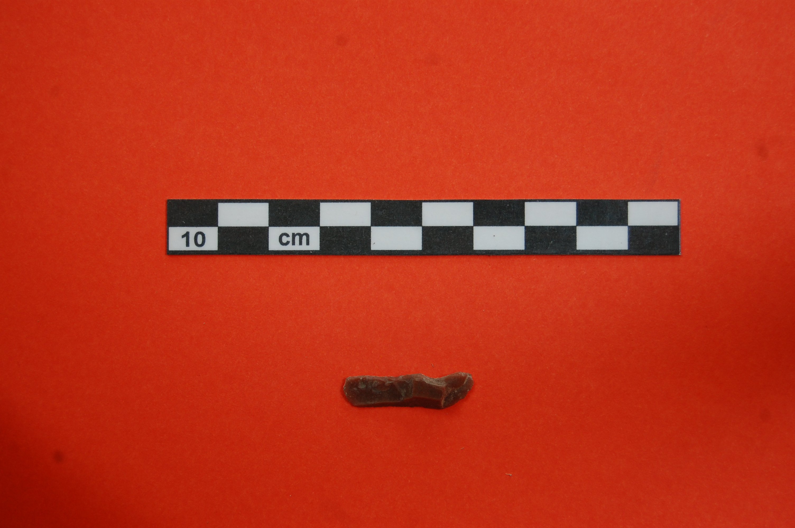 lama (PERIODIZZAZIONI/ PREISTORIA/ Paleolitico/ Paleolitico superiore)