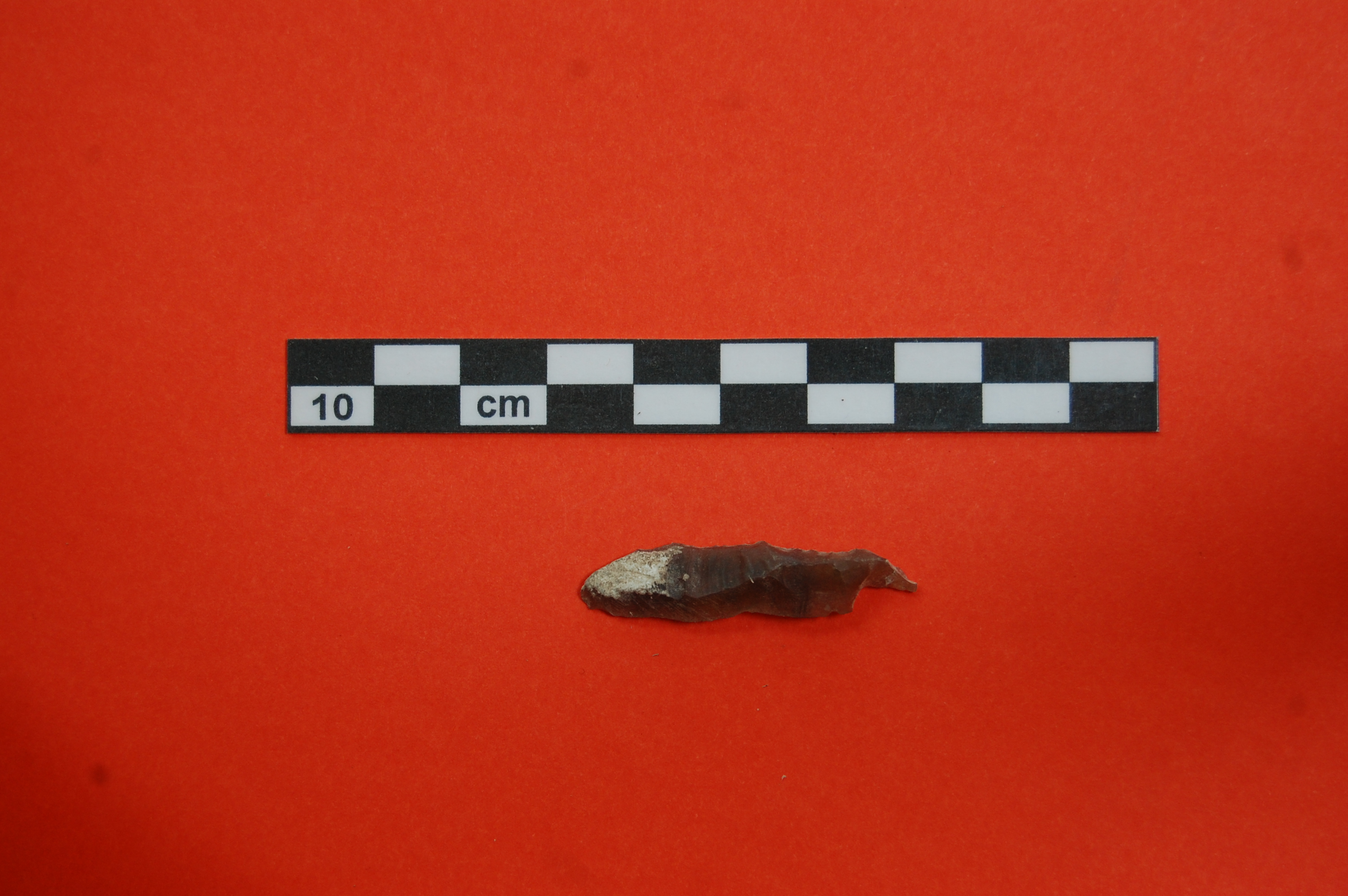 lama (PERIODIZZAZIONI/ PREISTORIA/ Paleolitico/ Paleolitico superiore)