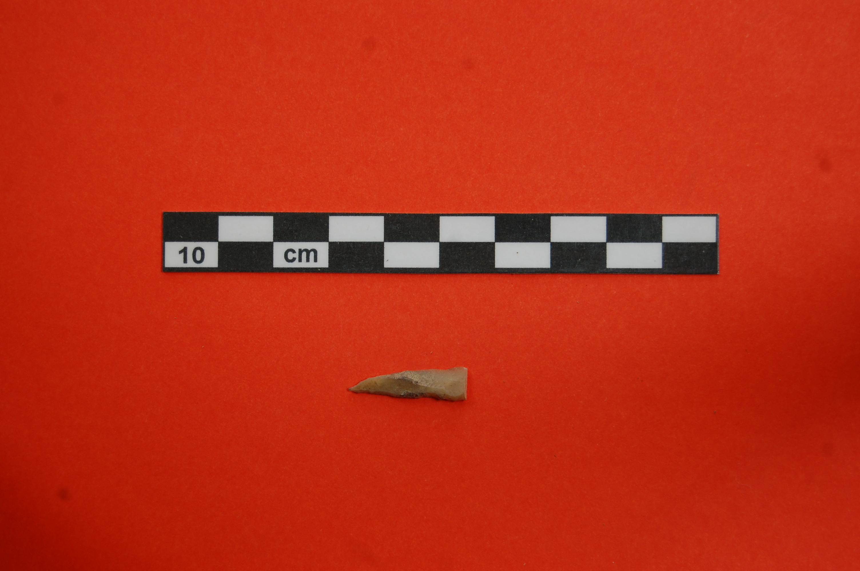 lama, microgravette (PERIODIZZAZIONI/ PREISTORIA/ Paleolitico/ Paleolitico superiore)