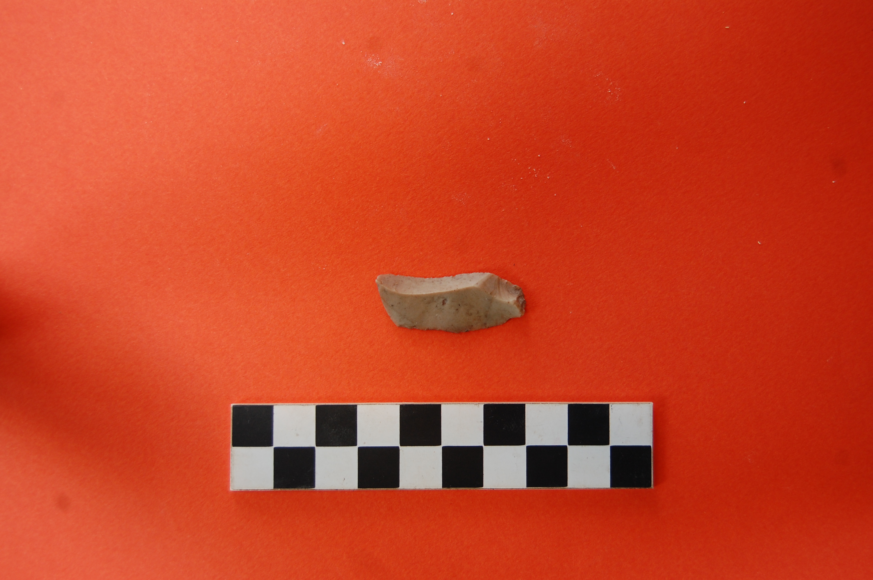 lama (PERIODIZZAZIONI/ PREISTORIA/ Neolitico)