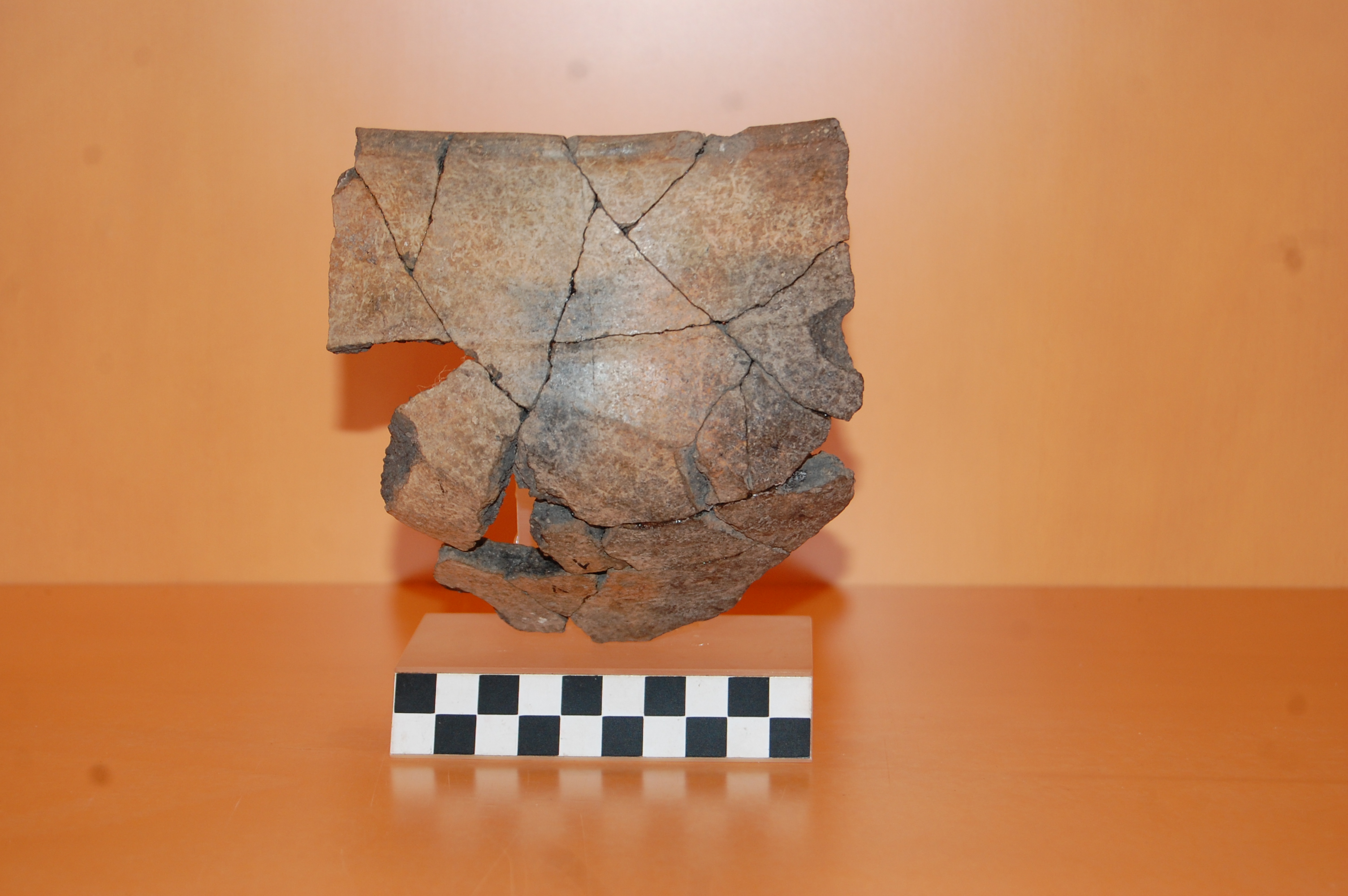 vaso - Proto Villanoviano (PERIODIZZAZIONI/ PROTOSTORIA/ Età del Bronzo/ Età del Bronzo finale)