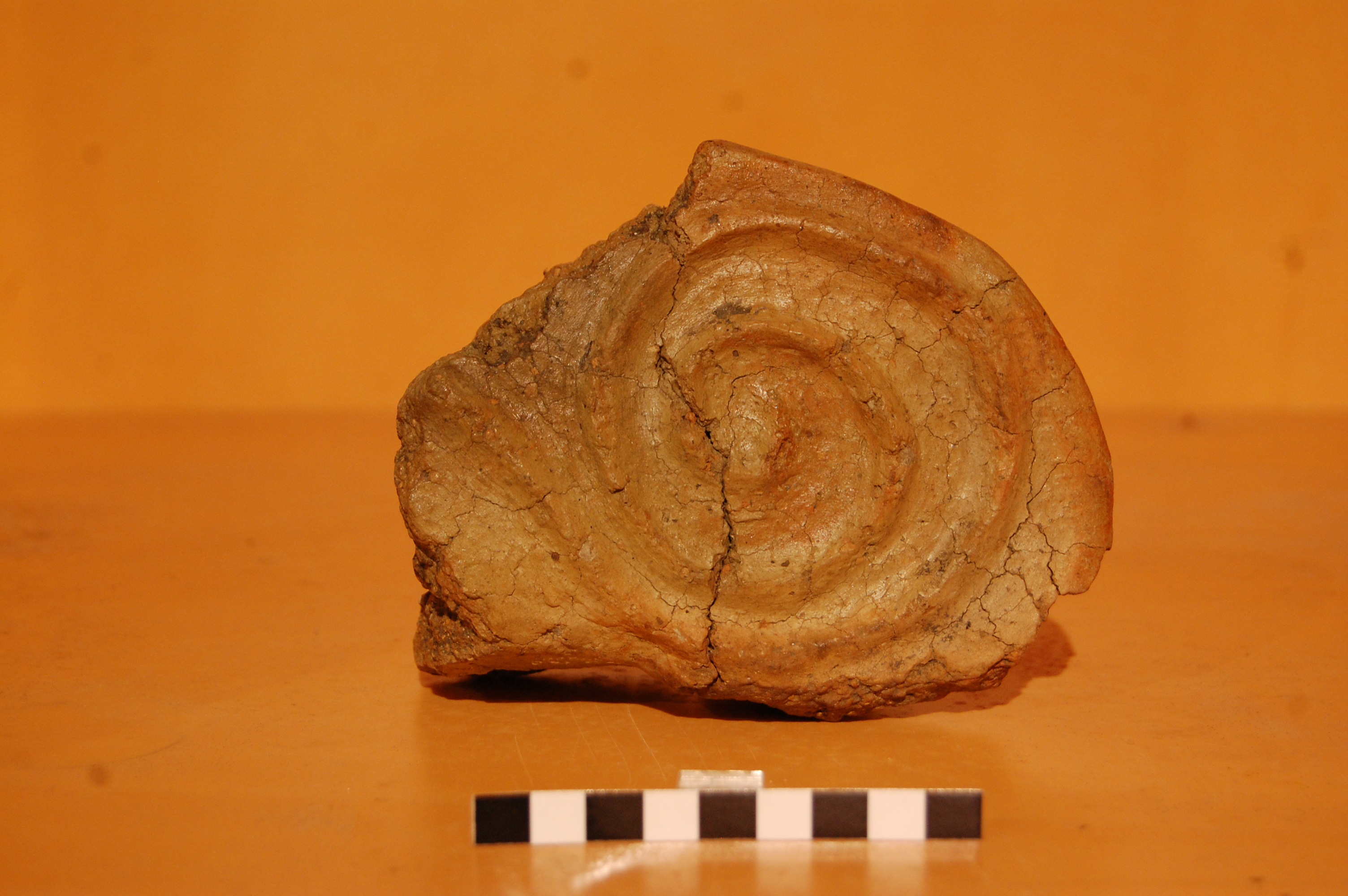 alare (PERIODIZZAZIONI/ PROTOSTORIA/ Età del Bronzo/ Età del Bronzo finale)