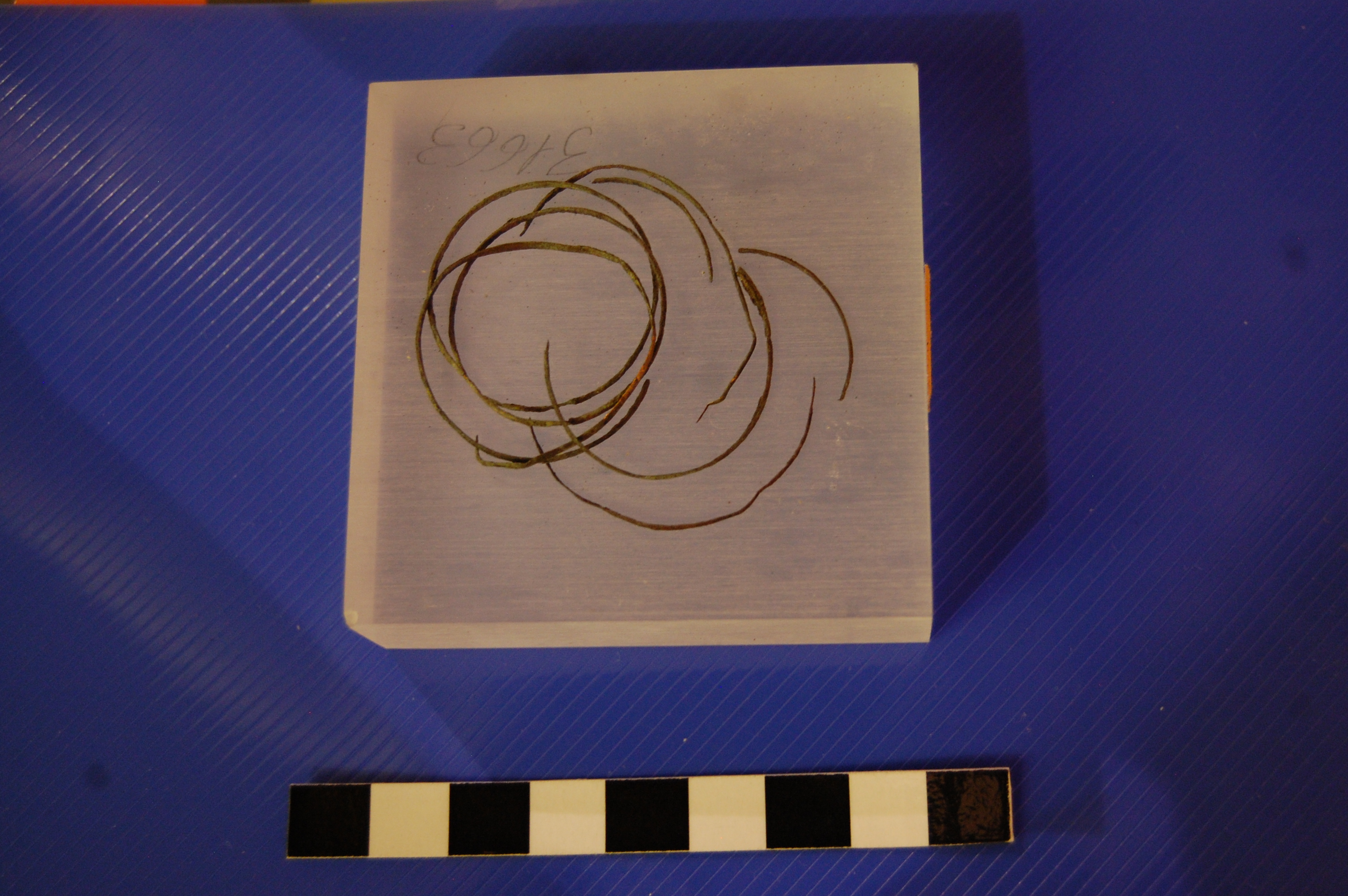 spirale, ferma trecce (PERIODIZZAZIONI/ PROTOSTORIA/ Età del Bronzo/ Età del Bronzo finale)