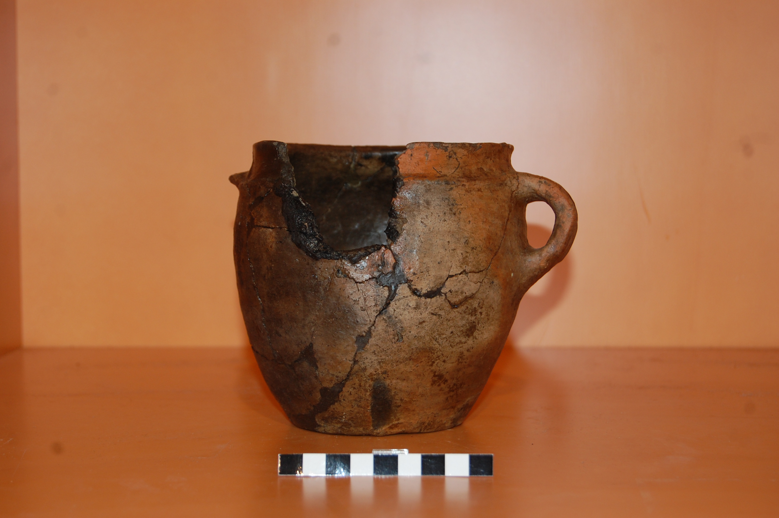 olla, ovoide (PERIODIZZAZIONI/ PROTOSTORIA/ Età del Bronzo/ Età del Bronzo finale)