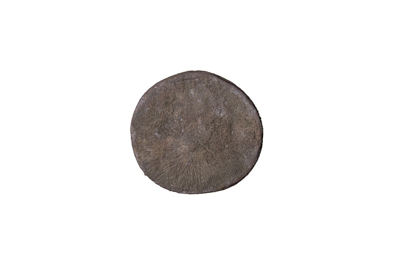 moneta - asse (secondo quarto sec. I d.C)