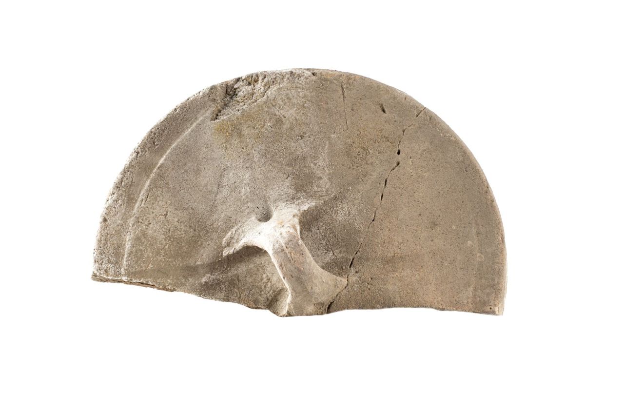 dolio/ coperchio (79 d.C)