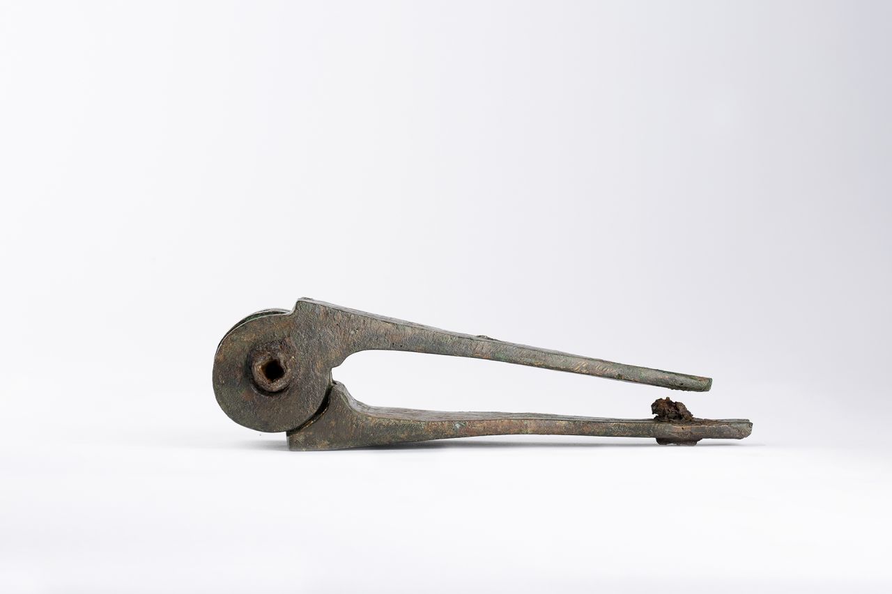 cardine, con cerniera (79 d.C)