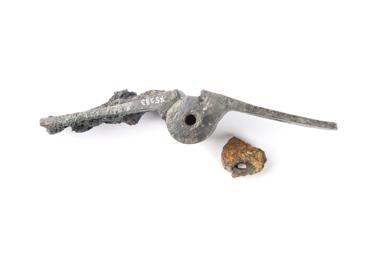 cardine, con cerniera (79 d.C)