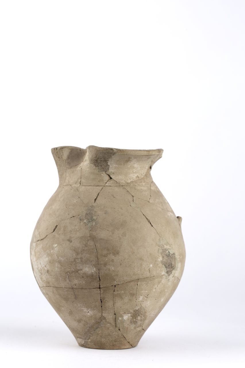 brocca, Gasperetti 1312a (79 d.C)