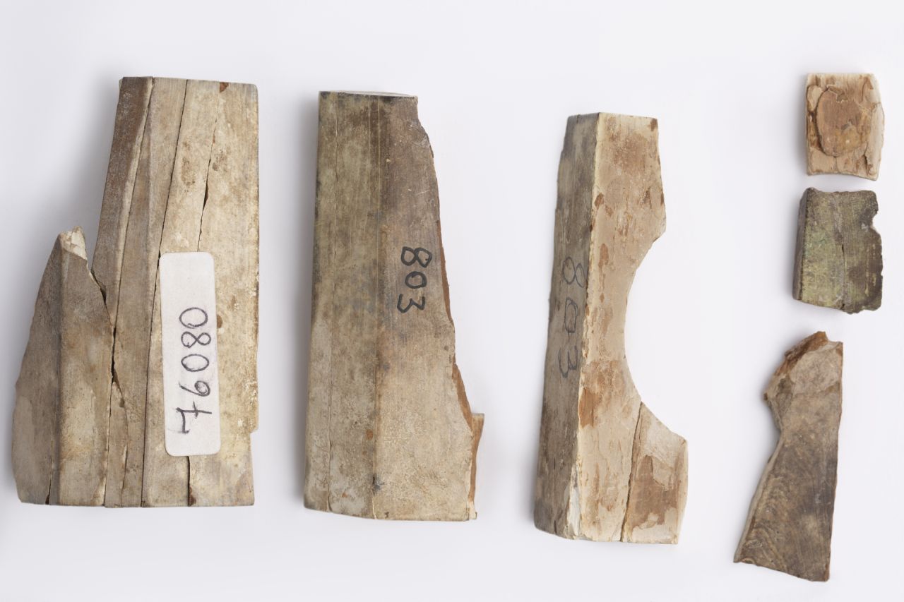 astuccio, portamonete (79 d.C)