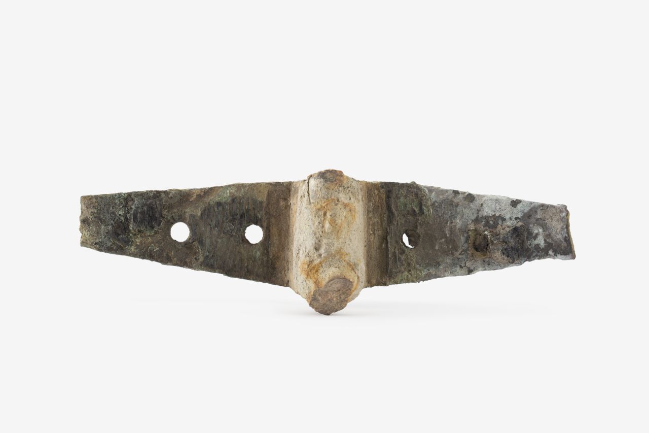 cardine, con cerniera (79 d.C)