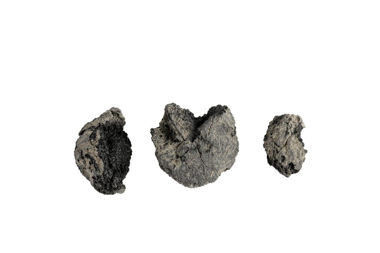 susine/ gruppo (79 d.C)