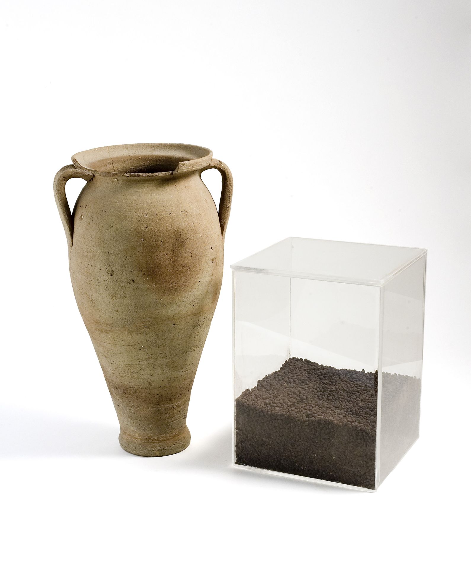 pisello/ semi (79 d.C)