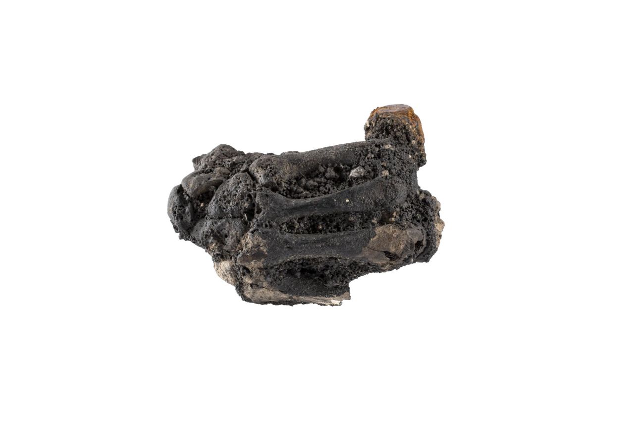 Athena Nikephoros (anello) (79 d.C)