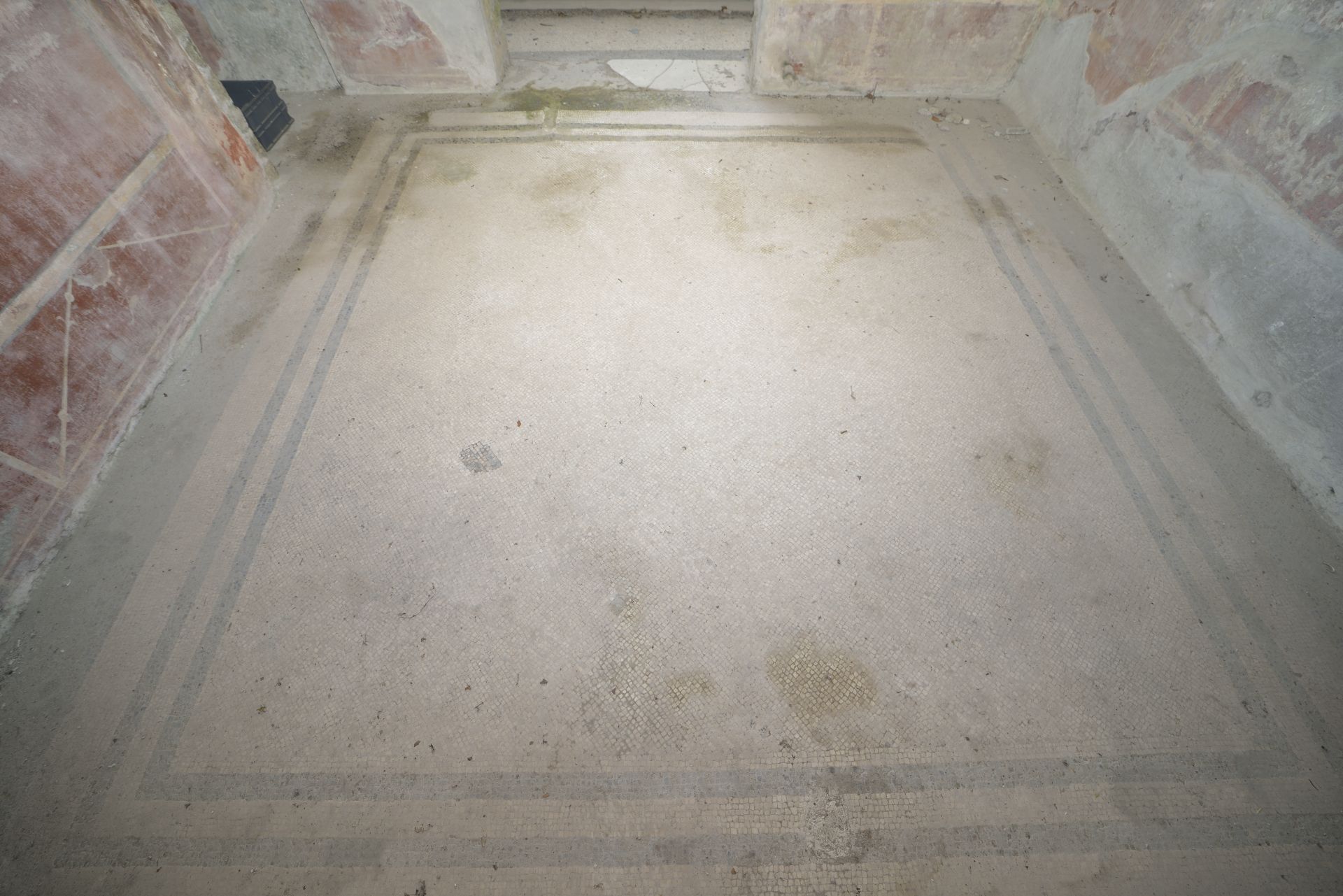 mosaico/pavimentale (seconda metà sec. I d.C)