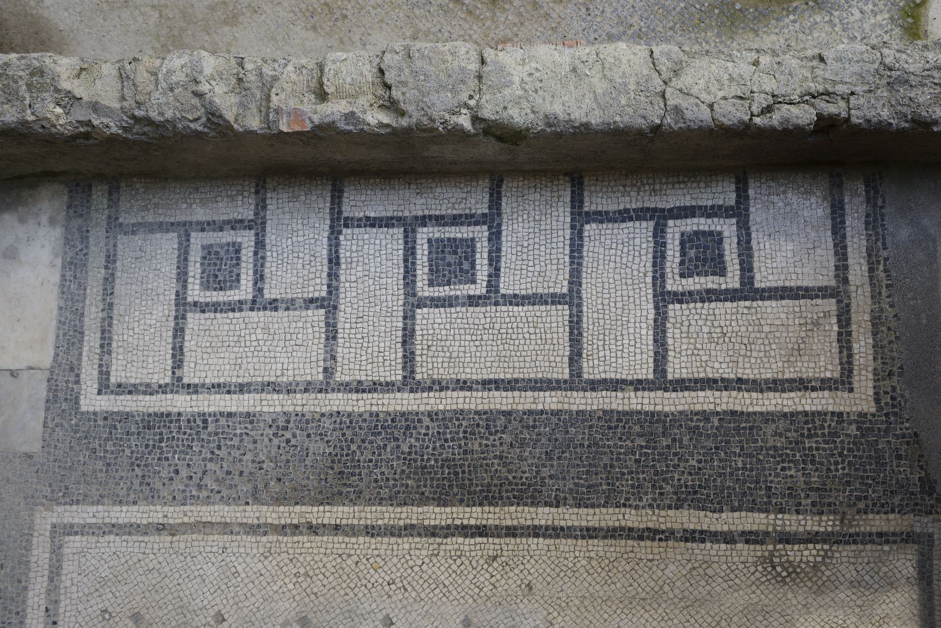 mosaico/pavimentale (seconda metà sec. I d.C)