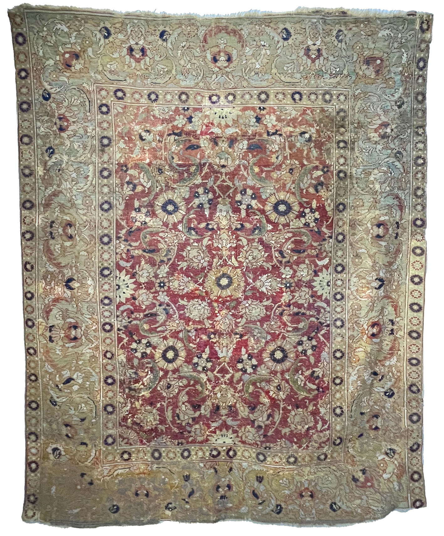 tappeto, opera isolata - manifattura egiziana (seconda metà SECOLI/ XVI)