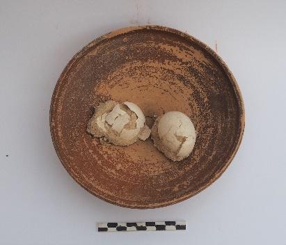 SINGOLO OGGETTO/ patera, SECOLI/ II a.C