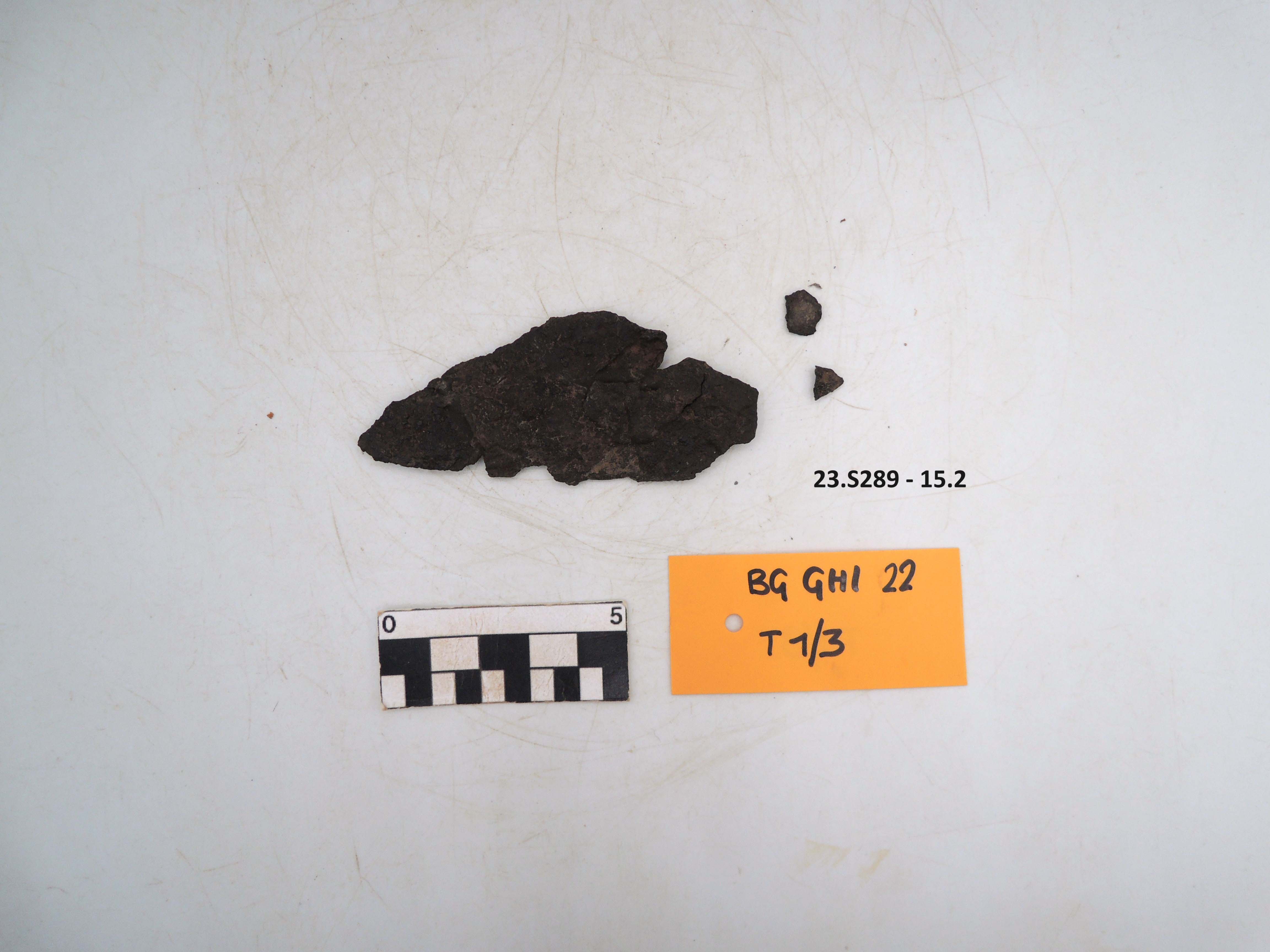 SINGOLO OGGETTO/ raschiatoio, PERIODIZZAZIONI/ STORIA/ Età antica/ Età romana