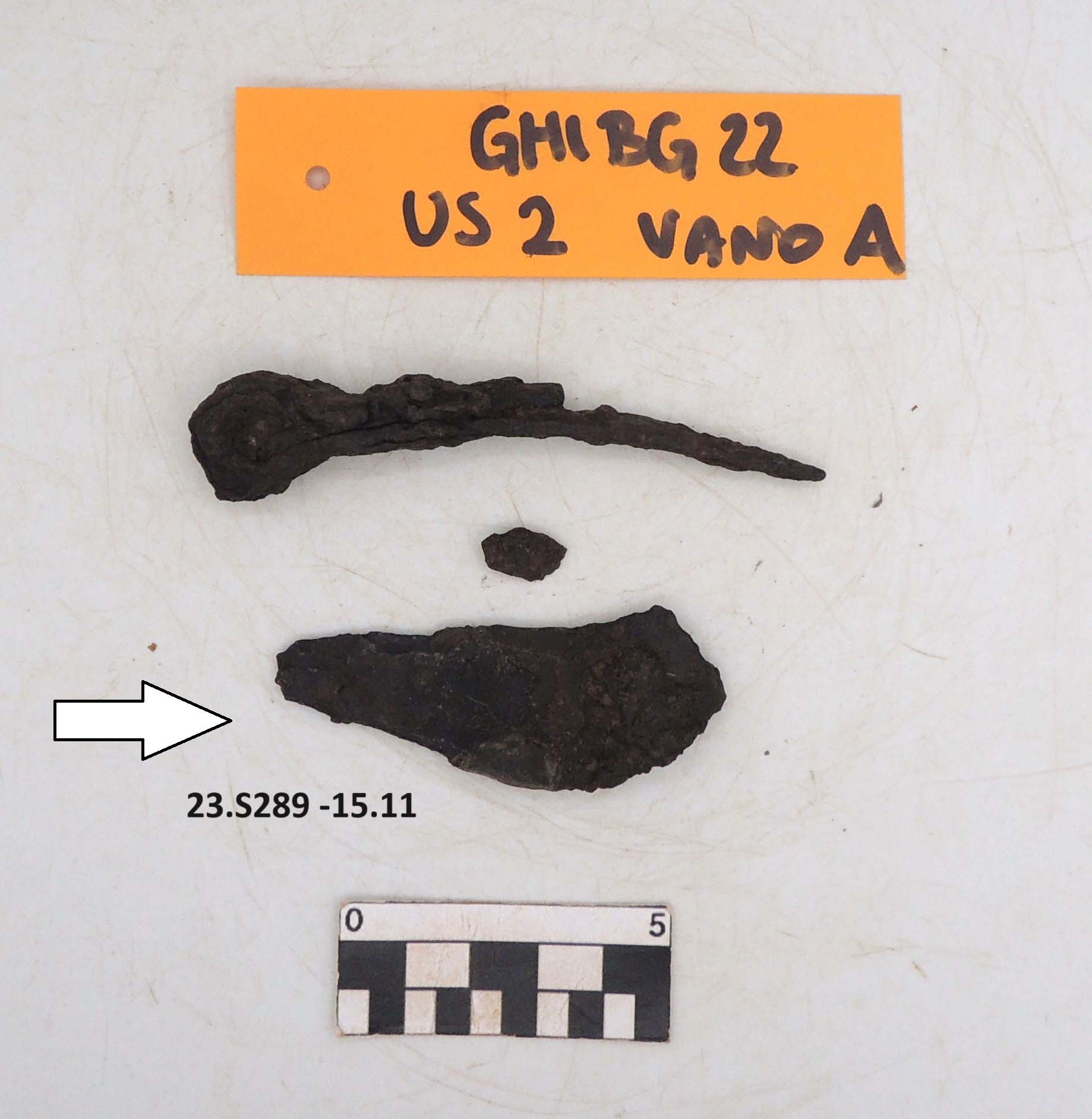 SINGOLO OGGETTO/ raschiatoio, PERIODIZZAZIONI/ STORIA/ Età antica/ Età romana