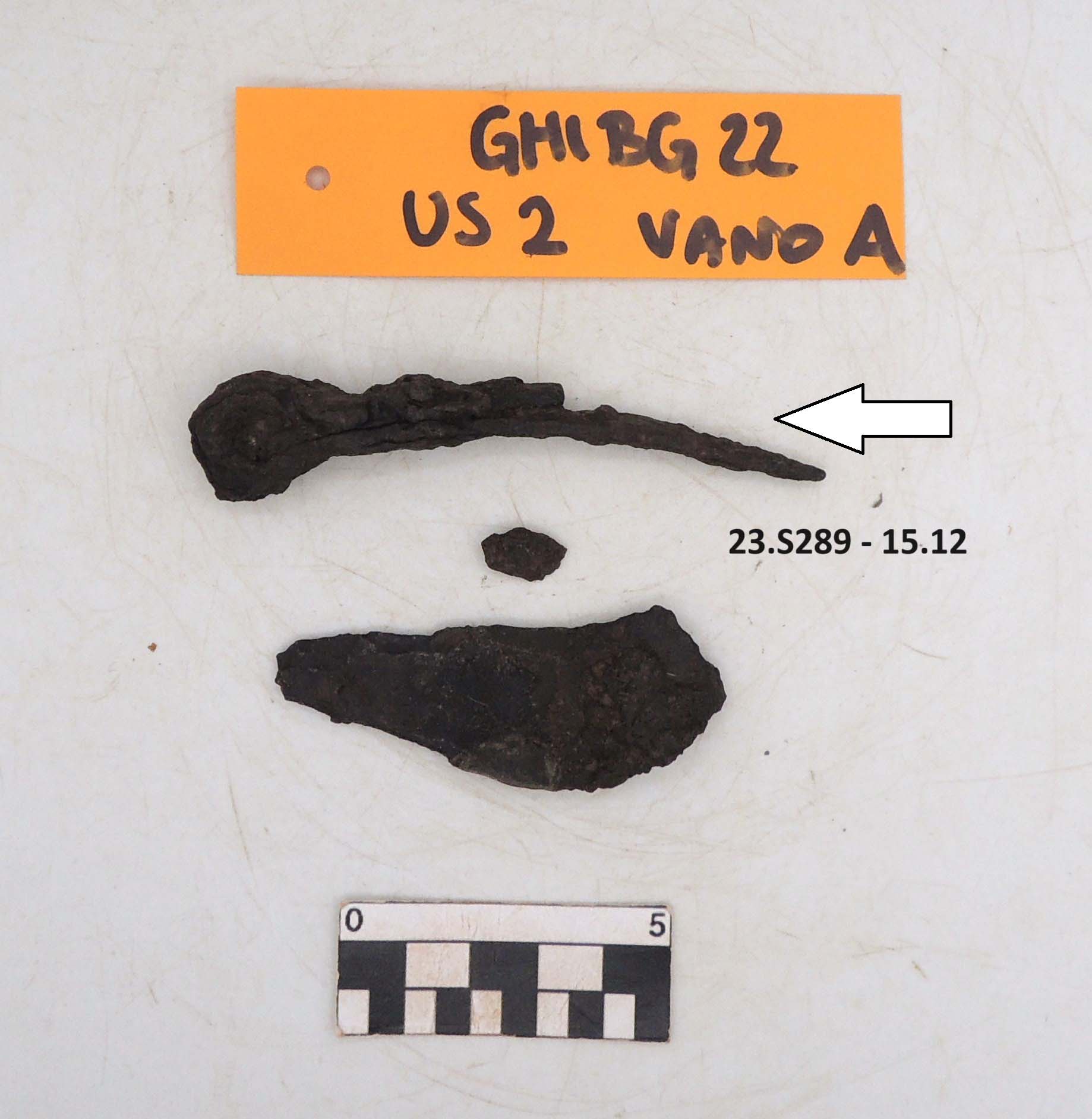 SINGOLO OGGETTO/ coppiglia ?, PERIODIZZAZIONI/ STORIA/ Età antica/ Età romana