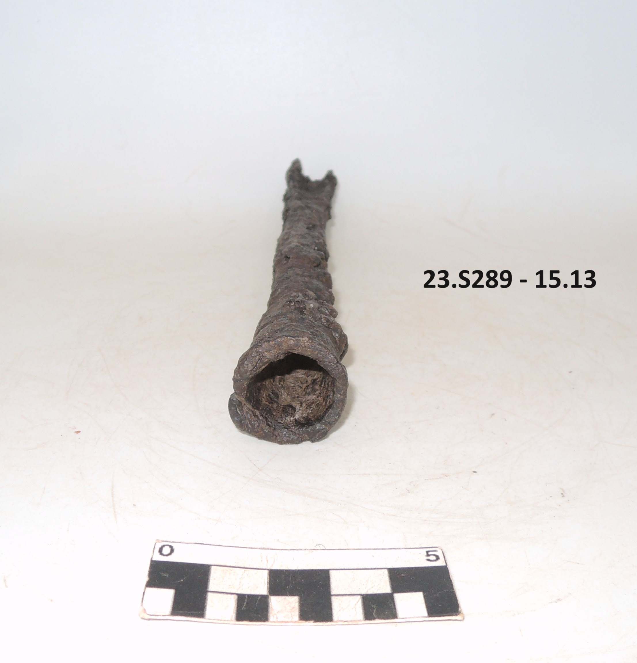 SINGOLO OGGETTO/ sgorbia, PERIODIZZAZIONI/ STORIA/ Età antica/ Età romana